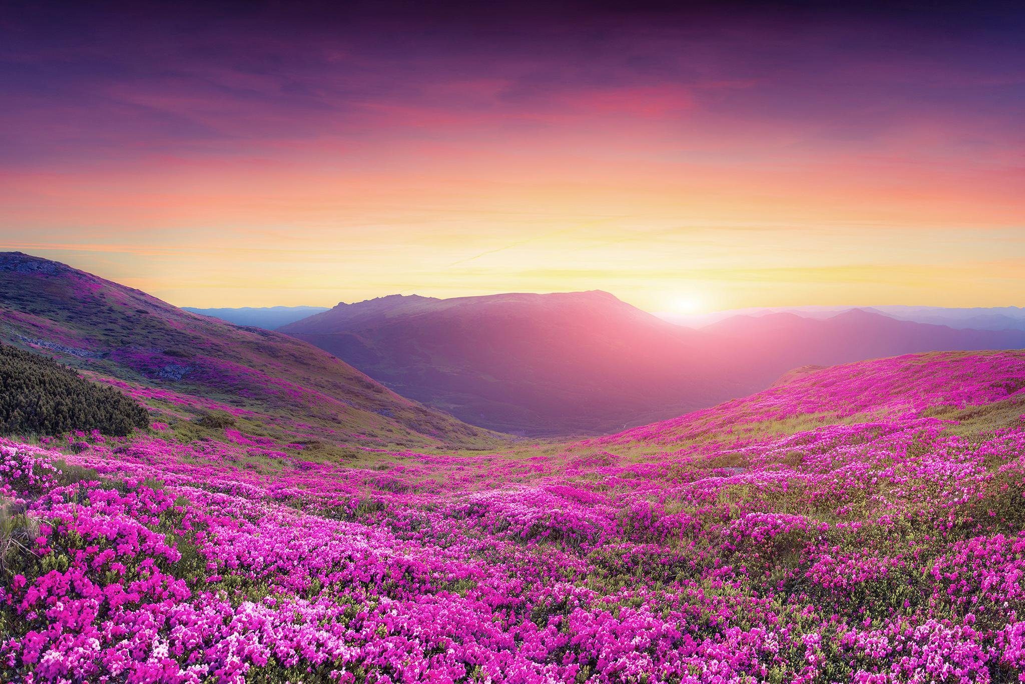 A.S. Création Fototapete A.S. Création XXL 5 Fototapete, Sonnenuntergang, 4m x 2,67m DD115190, glatt, glatt