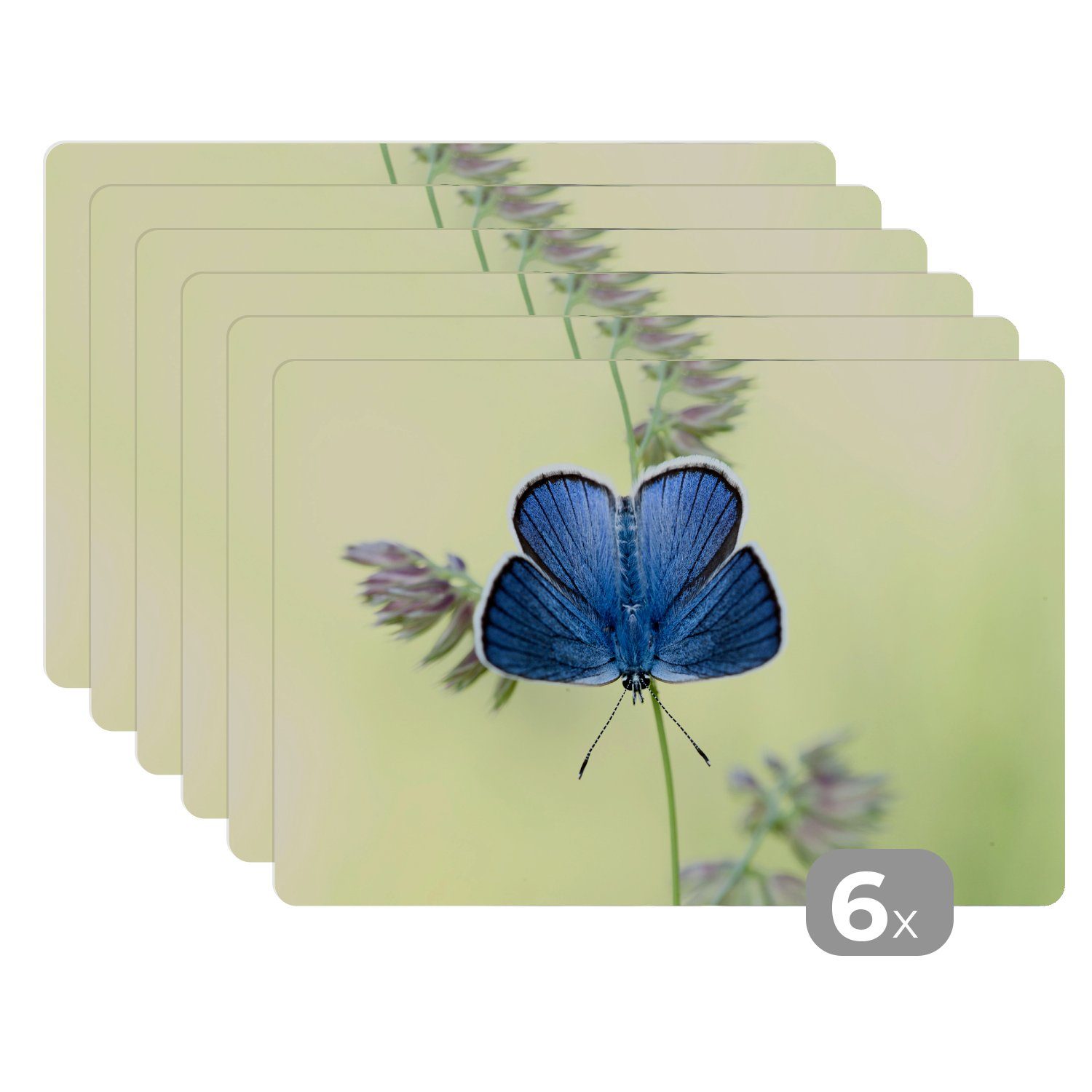 Platzset, Blauer Schmetterling, MuchoWow, (6-St), Platzset, Platzdecken, Platzmatte, Tischmatten, Schmutzabweisend