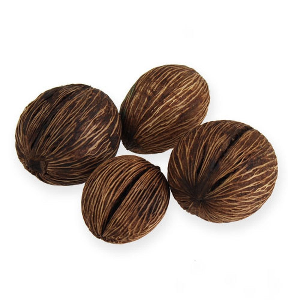 Trockenblume Mintolla Ball Natur 15 St günstig online kaufen