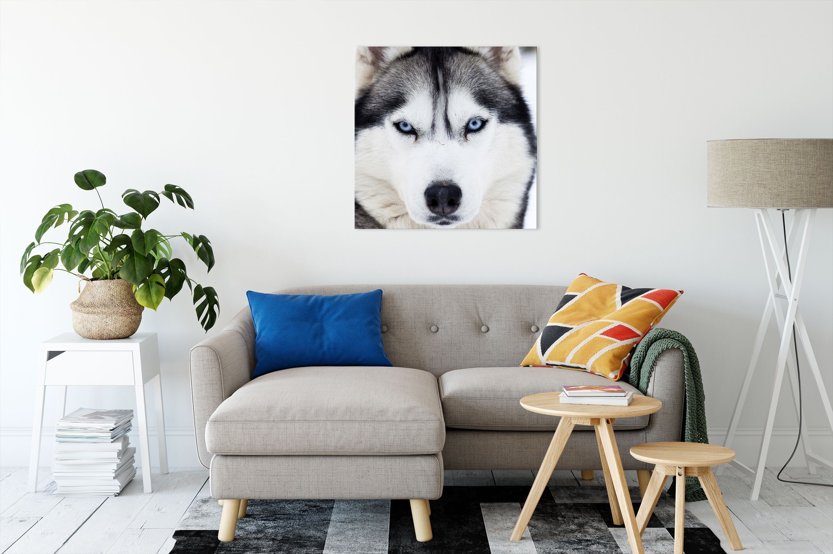 Husky, inkl. (1 St), Leinwandbild Leinwandbild Pixxprint Zackenaufhänger fertig Husky bespannt,