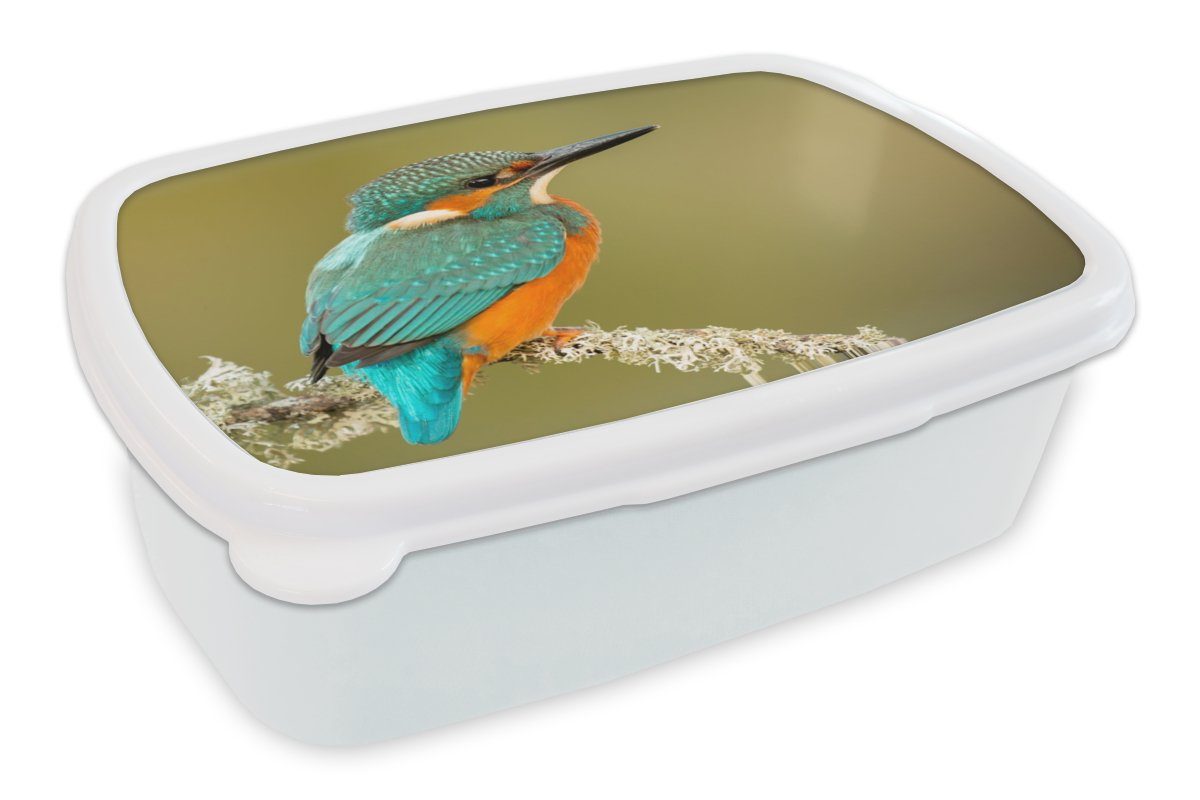 MuchoWow Lunchbox Eisvogel - Tiere - Vogel, Kunststoff, (2-tlg), Brotbox für Kinder und Erwachsene, Brotdose, für Jungs und Mädchen weiß