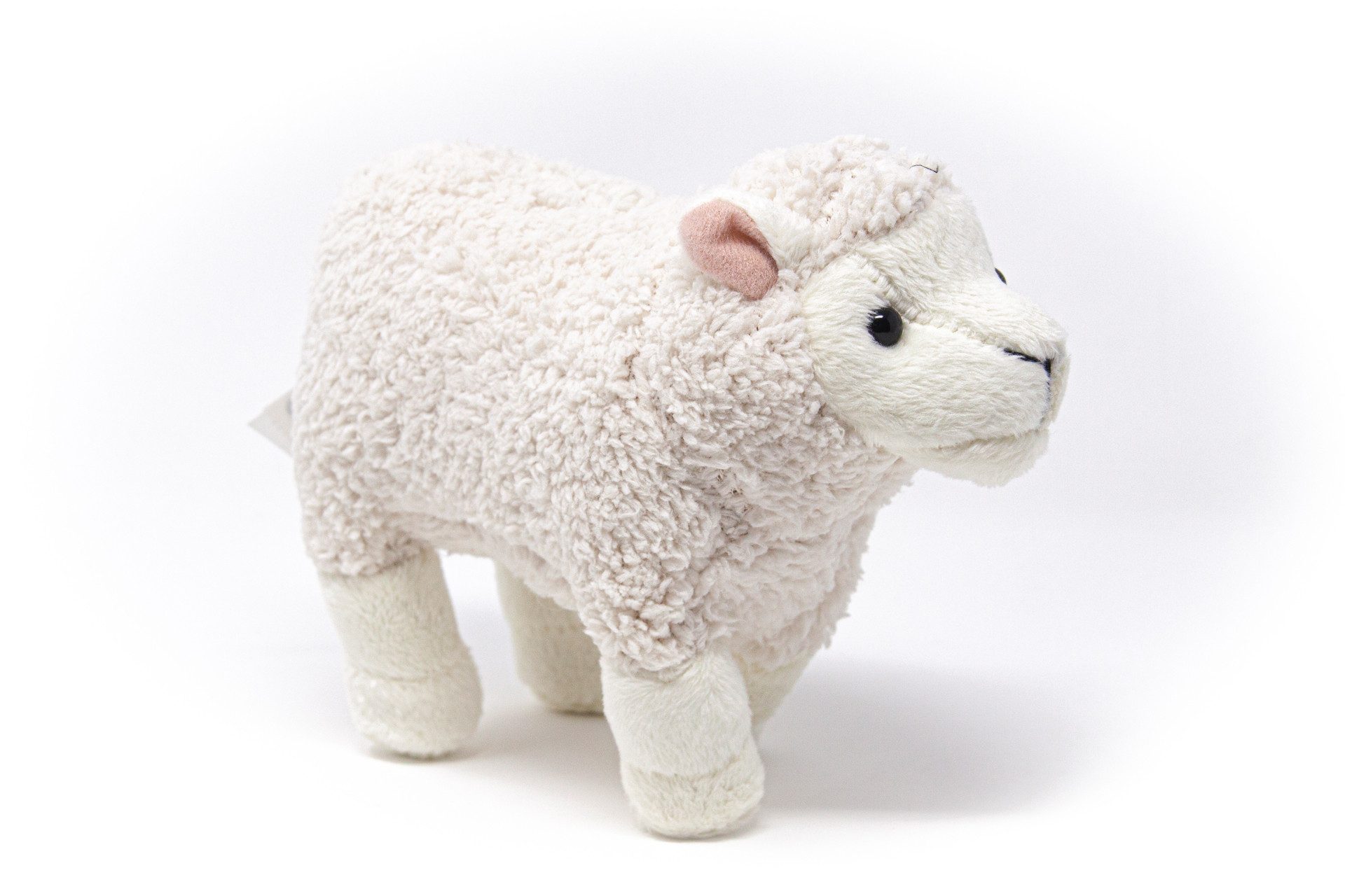 Cornelißen Kuscheltier Cornelissen - Kuscheltier - Schaf weiß - 19 cm