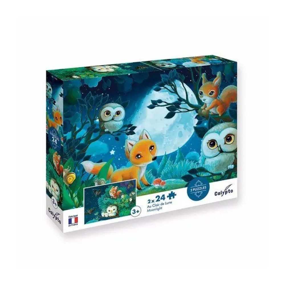 BrainBox Puzzle Tiere in der Nacht 2x24 Teile Puzzle, 24 Puzzleteile günstig online kaufen