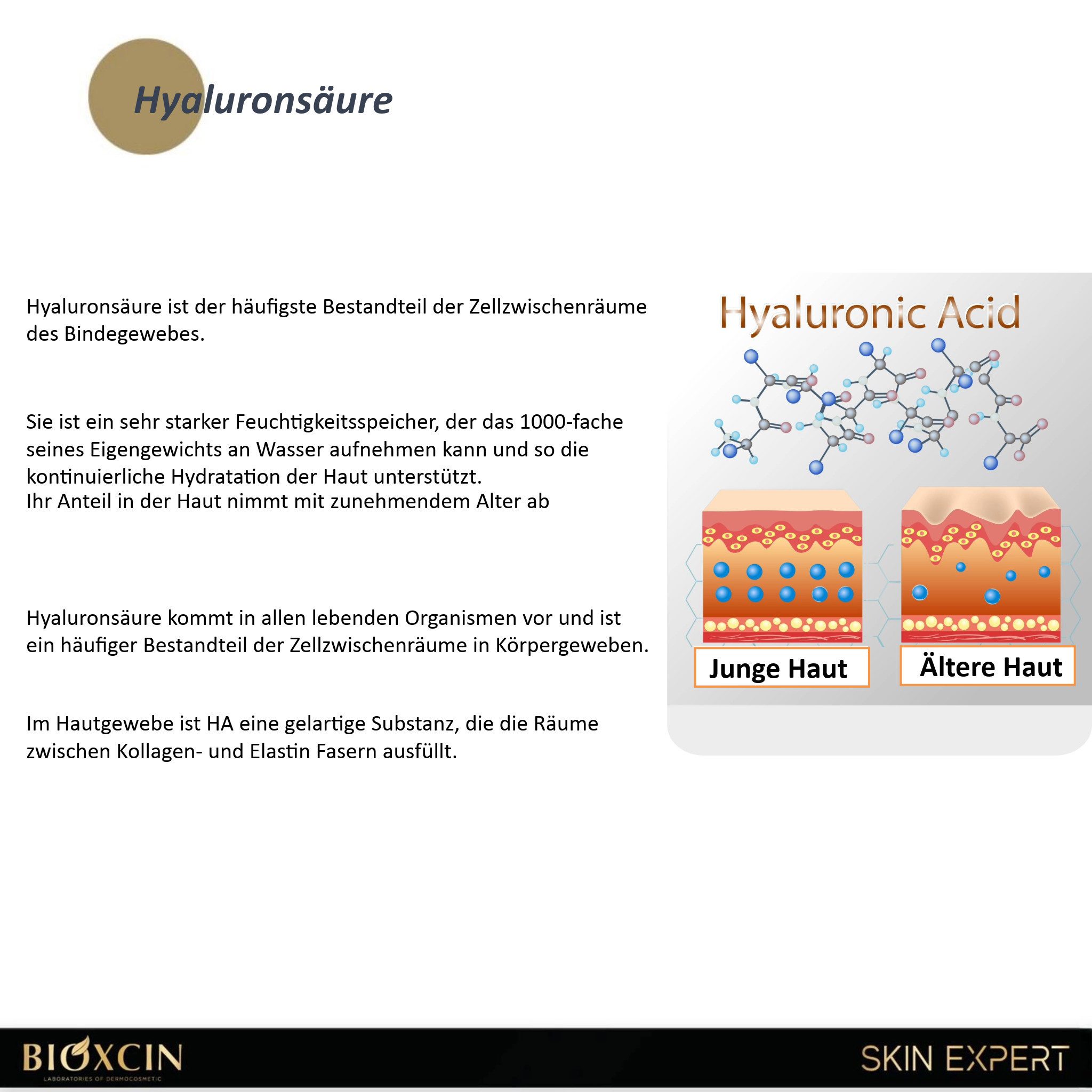 Bioxcin Gesichtsserum Bioxcin Hyaluronic Acid,Panthenol - Feuchtigkeitsspendendes Serum 30ml