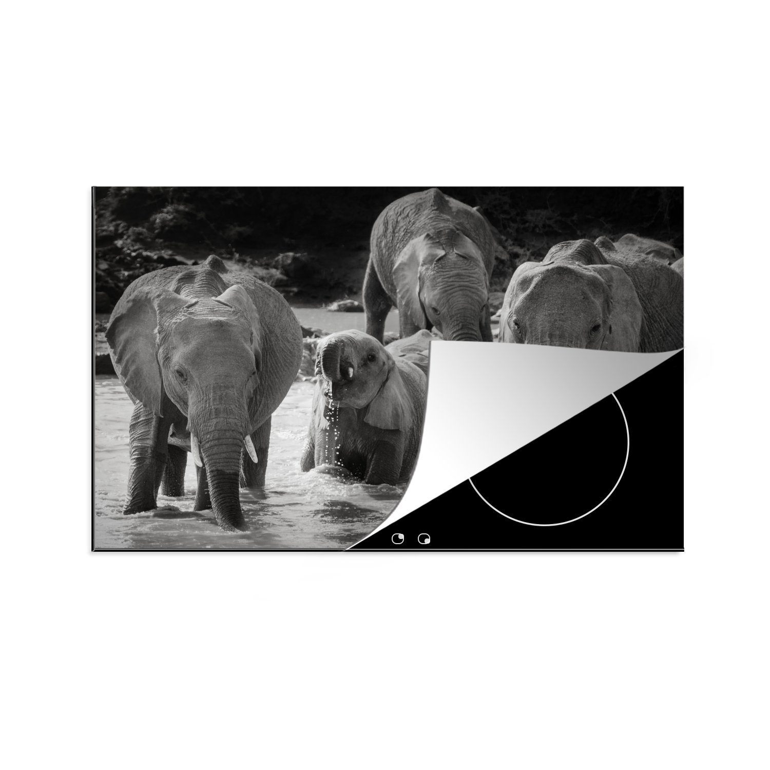 Schutz für 81x52 (1 die MuchoWow - Herdblende-/Abdeckplatte Vinyl, Schwarz und Tiere - tlg), küche, weiß, - Elefant cm, Induktionskochfeld Ceranfeldabdeckung Wasser