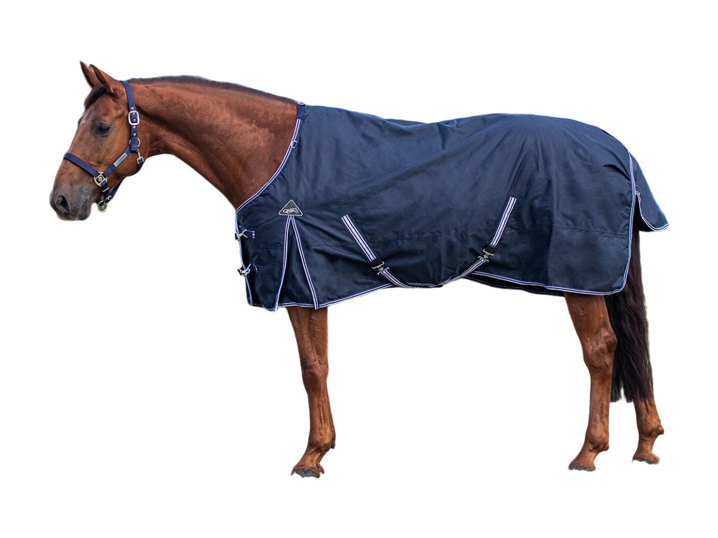 QHP Pferde-Regendecke Regendecke Turnout Luxus 0gr