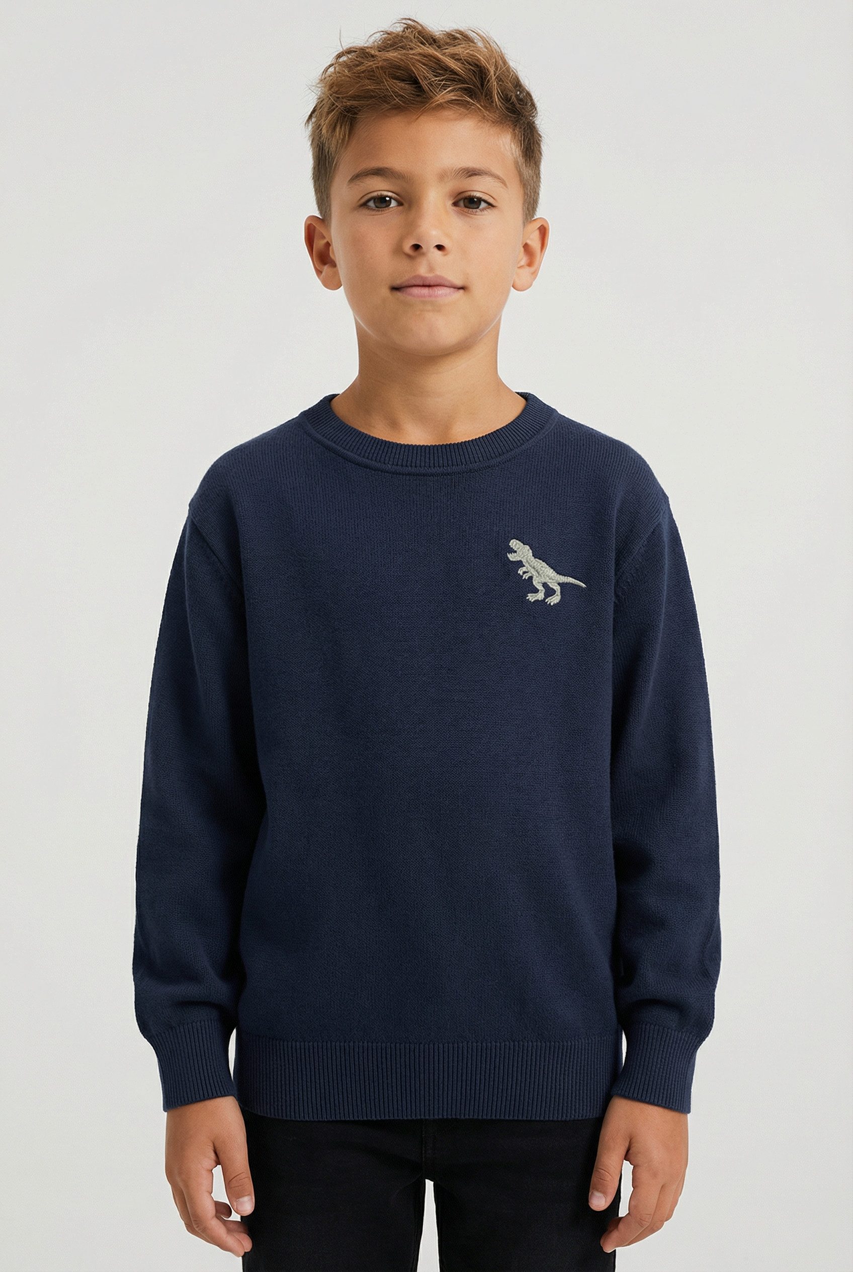 Name It Sweatshirt NMMVALLEN LS NREG SWEAT BRU