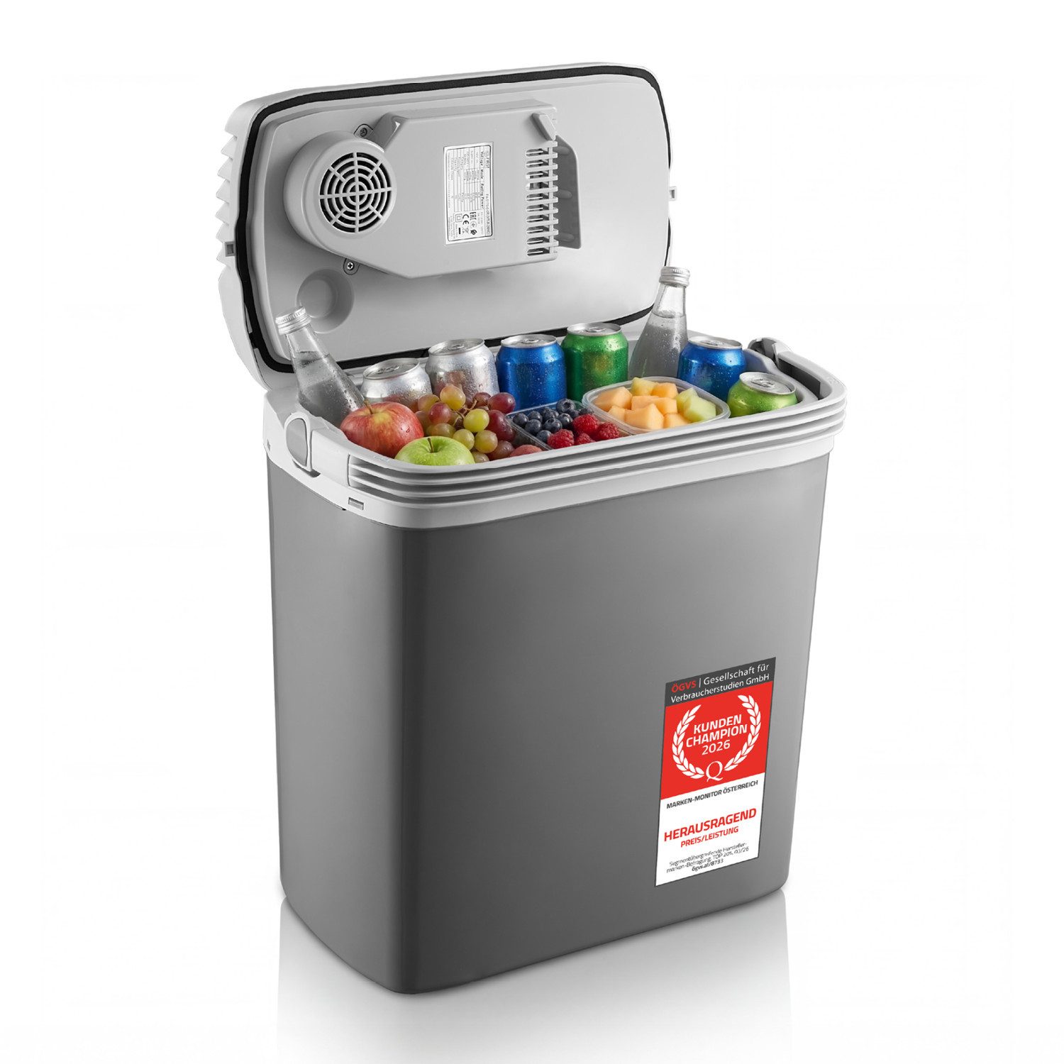 TZS FIRST AUSTRIA Elektrische Kühlbox 19L, Kühlbox, 12V /230V Anschluss, 12-V-Stecker fürs Auto, für Camping, Festivals, Reisen, mit Kühl- und Warmhaltefunktion