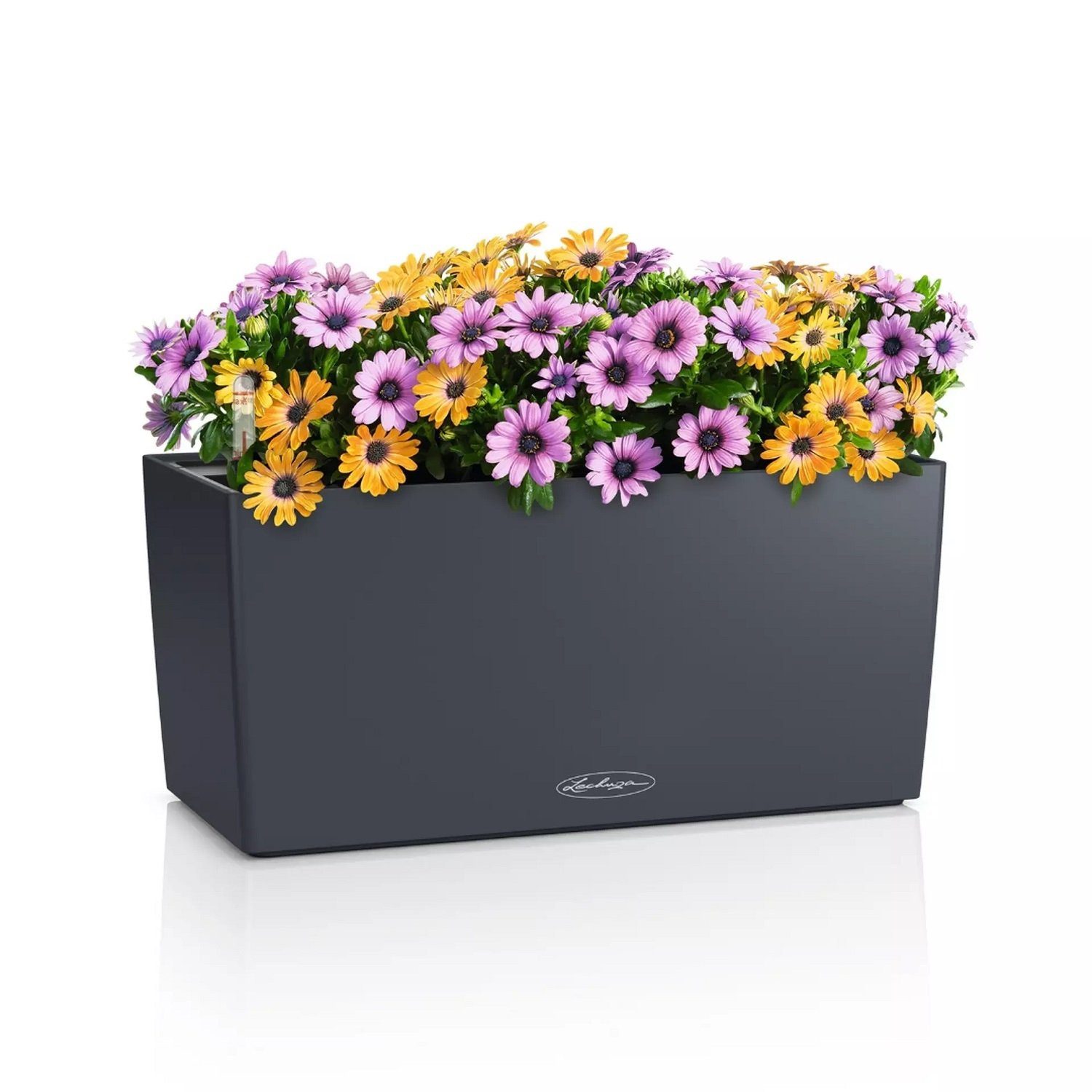 Lechuza® Balkonkasten Balconera Color 40 schiefergrau günstig online kaufen