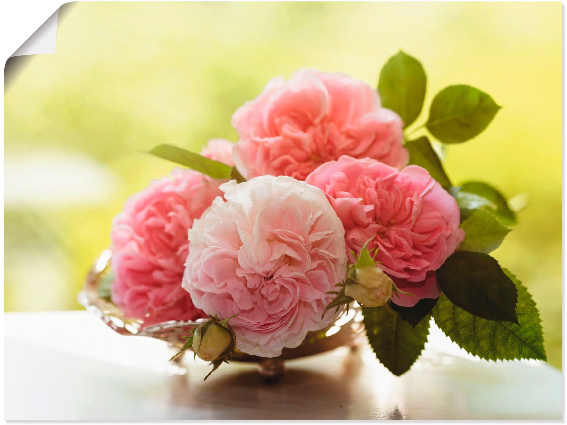 Artland Poster Rosen in Silberschale Stillleben, Blumen (1 St), ohne Rahmen