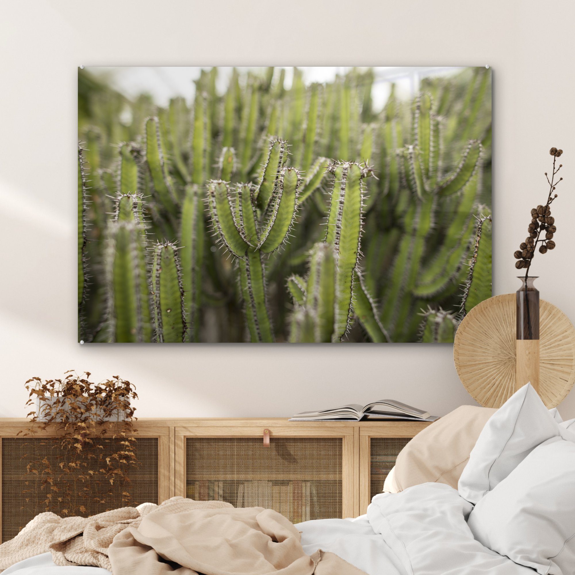 MuchoWow Acrylglasbild Gruppe von & (1 Kaktuspflanzen, Wohnzimmer Acrylglasbilder St), Schlafzimmer