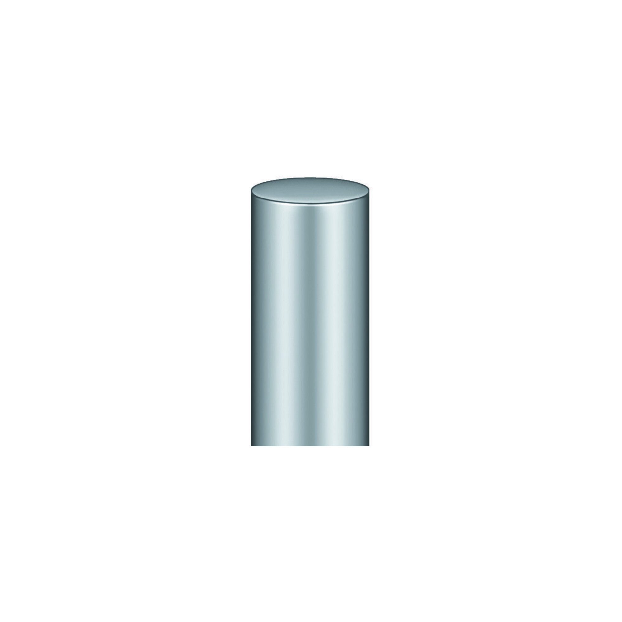 Simonswerk Schraube Profilrolle KO 50 ER Band-L.150mm VA Stift-D.13mm SIMONSWERK