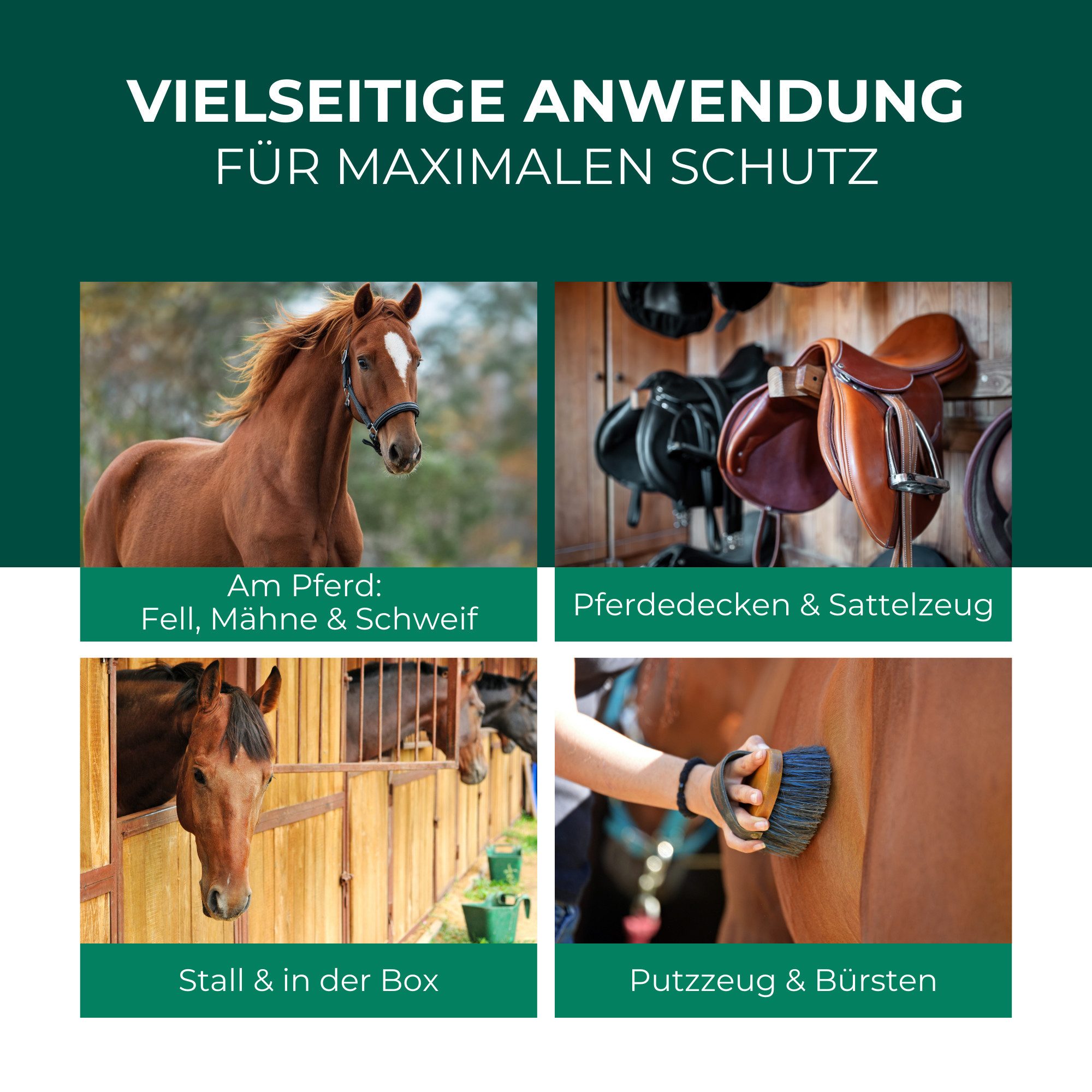 Silberkraft Insektenspray Milbenspray Pferde, 500 ml, Sofort- und Langzeitwirkung, Einfache Anwendung auf Fell & Umgebung, 1-St., Zuverlässiger Milbenschutz für Pferde, Made in Germany, gegen Milben, Flöhe & Läuse, wirksame Formel zur Insektenabwehr