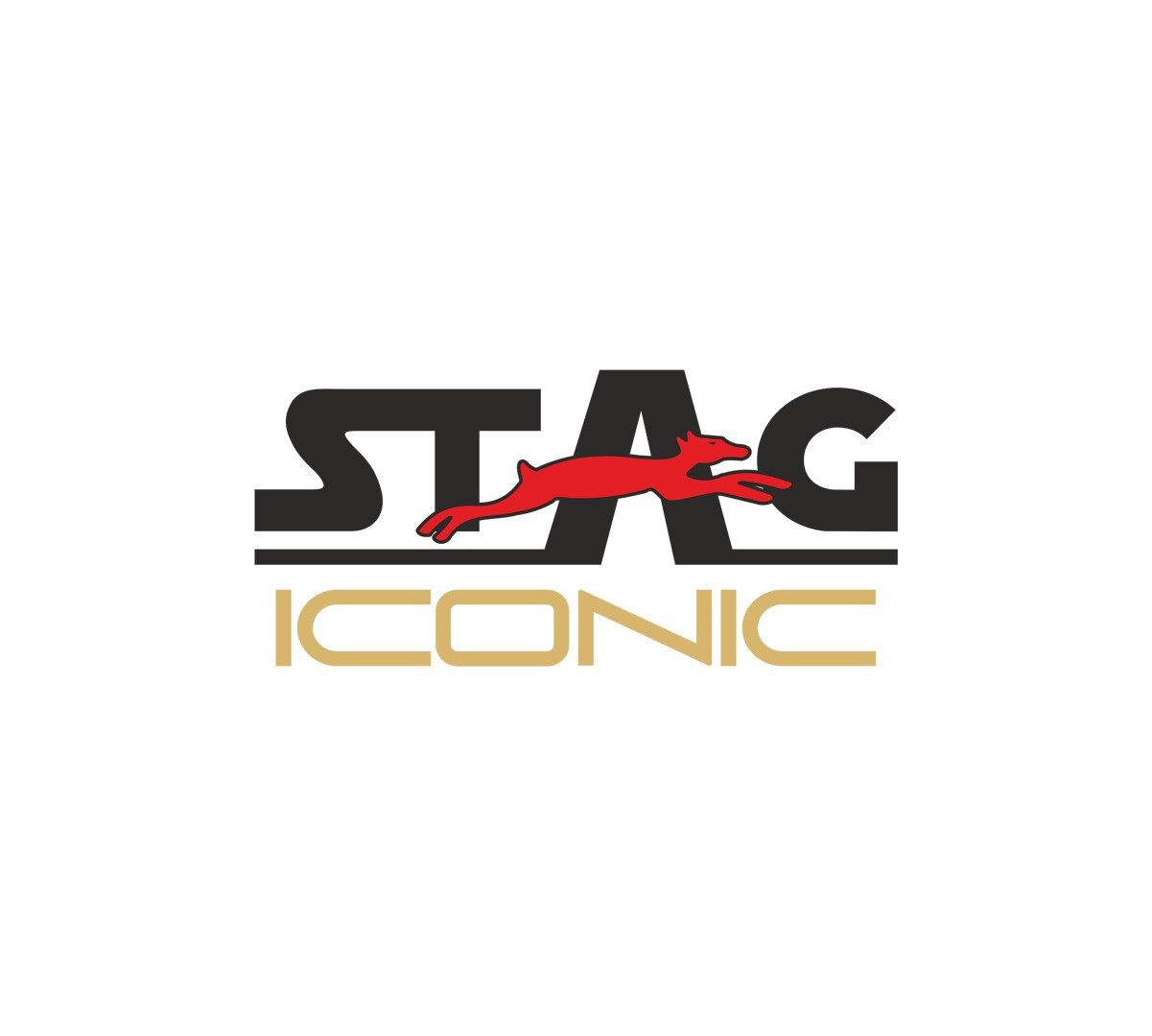 STAG ICONIC PRIVATE LIMITED