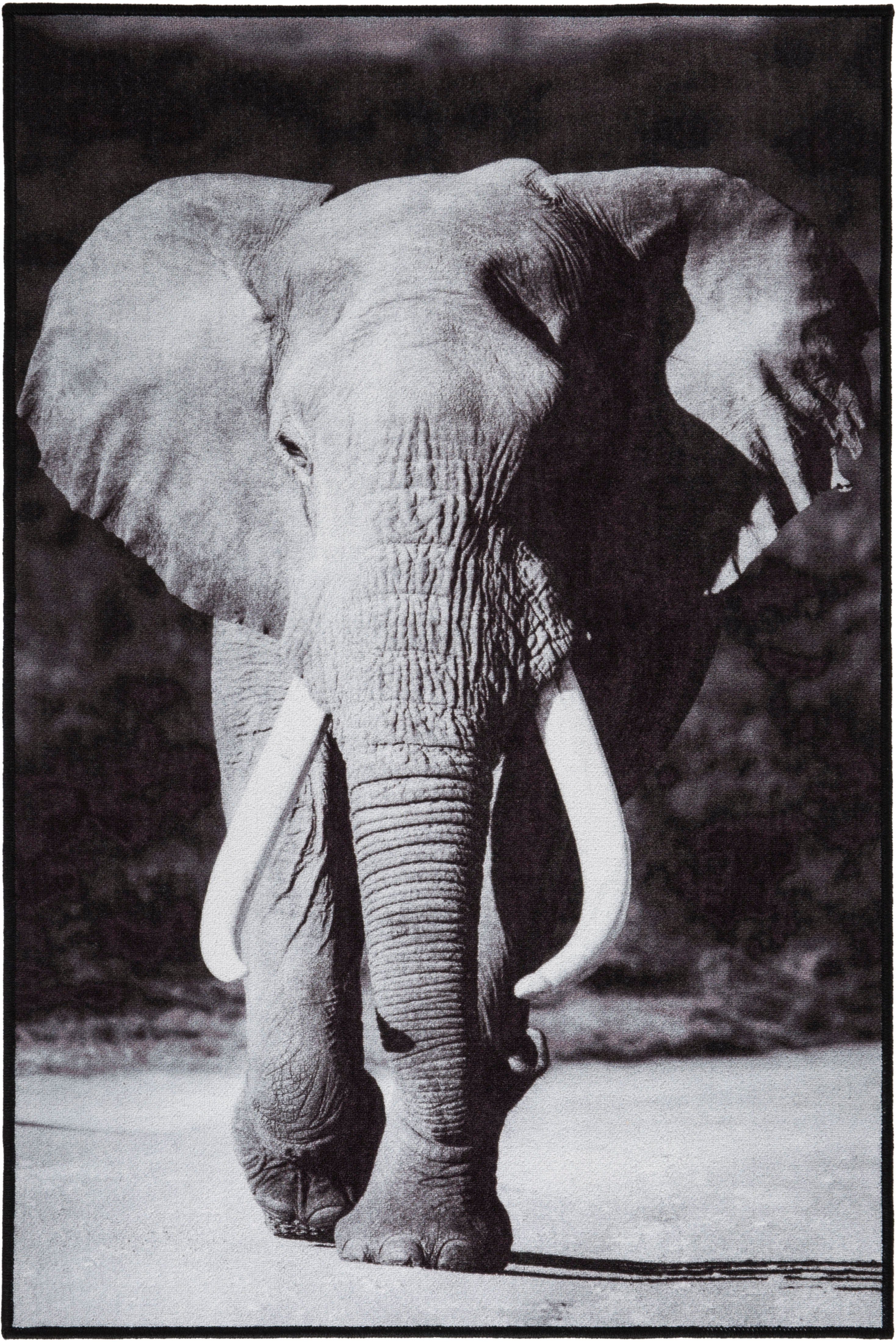 Kinderteppich Patchwork Elefant, Andiamo, rechteckig, Höhe: 12 mm,  Kurzflor, Patchwork Design, Elefanten Motiv