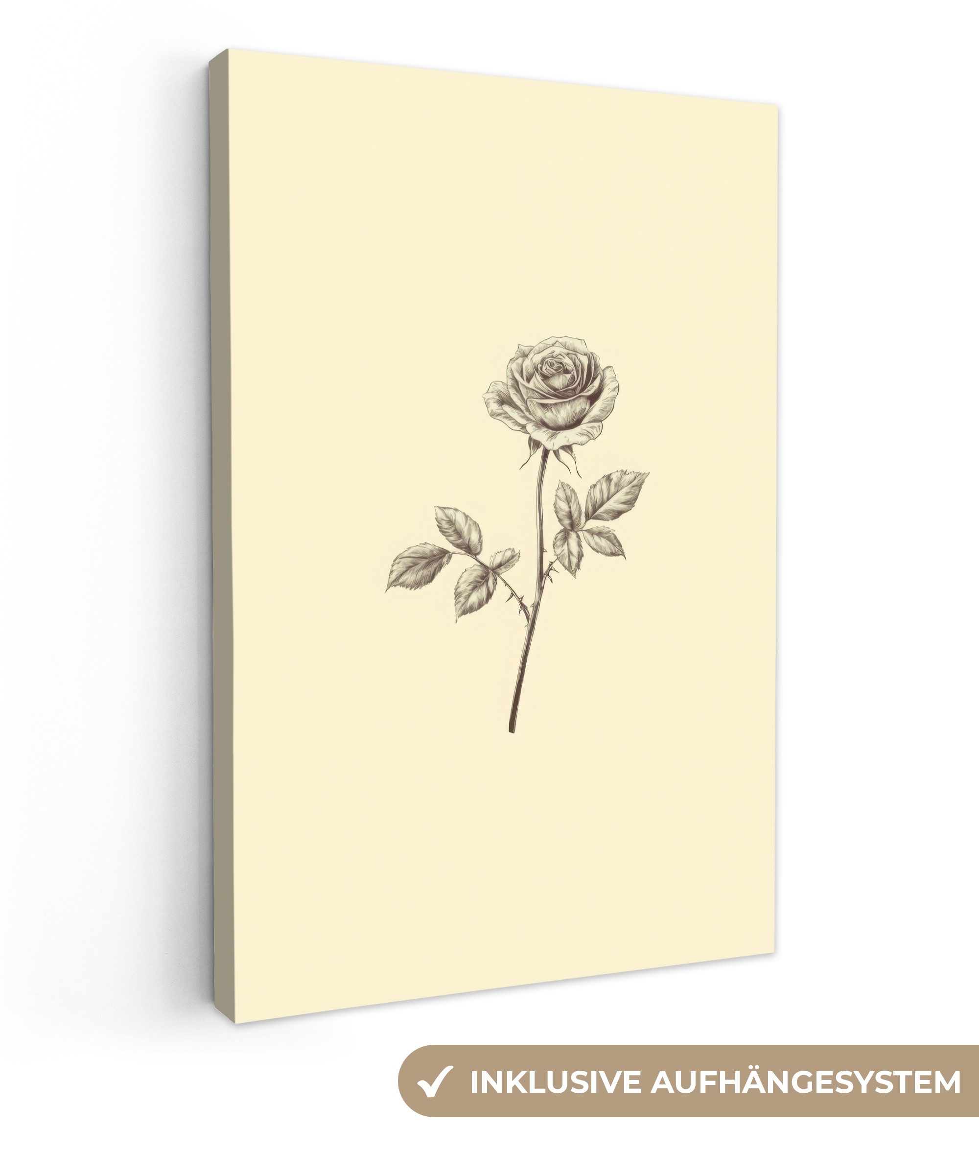 OneMillionCanvasses® Leinwandbild Illustration - Schwarz - Rose, Fotodruck günstig online kaufen