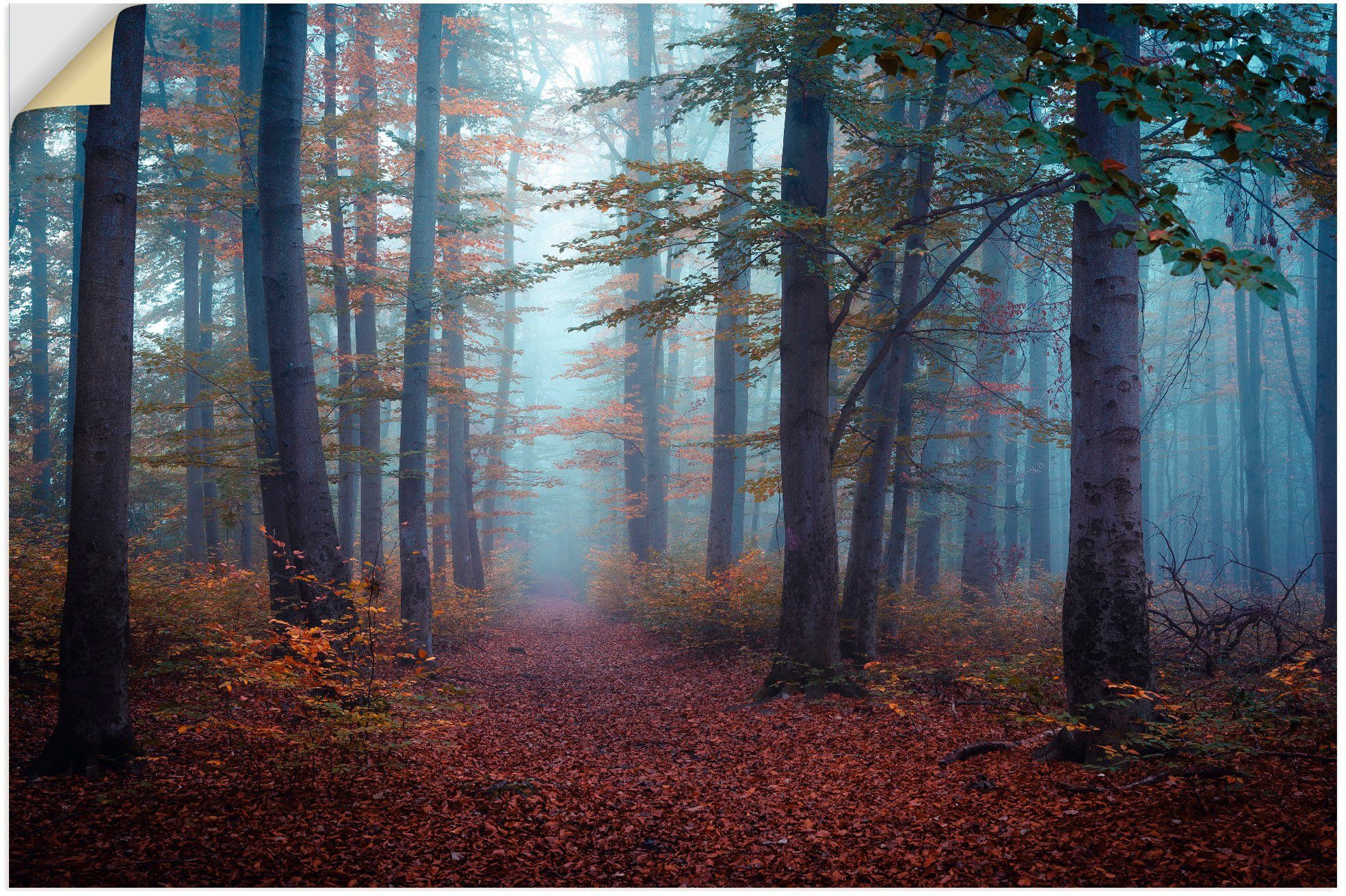 Artland Wandbild Wald im Nebel, als St), (1 Wandaufkleber Waldbilder Größen Poster versch. Alubild, oder Leinwandbild, in