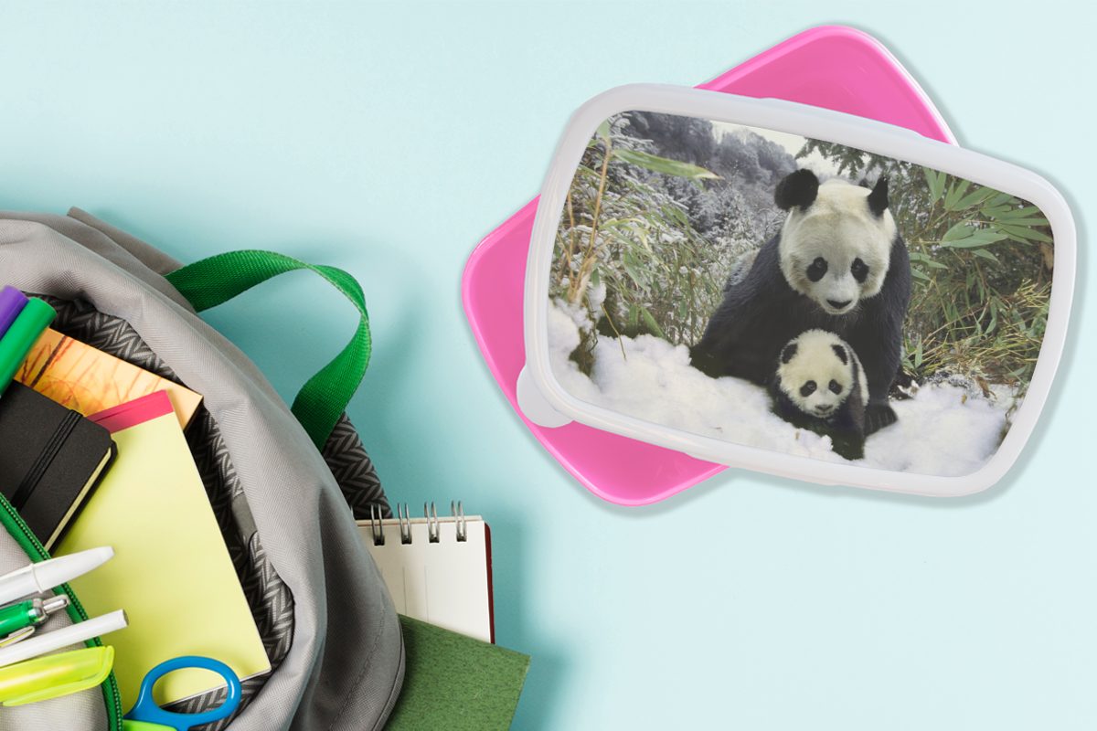 Schnee, Kunststoff, - Brotbox - für Snackbox, Brotdose Lunchbox Jungtier Kinder, Kunststoff rosa Panda Erwachsene, Mädchen, (2-tlg), MuchoWow