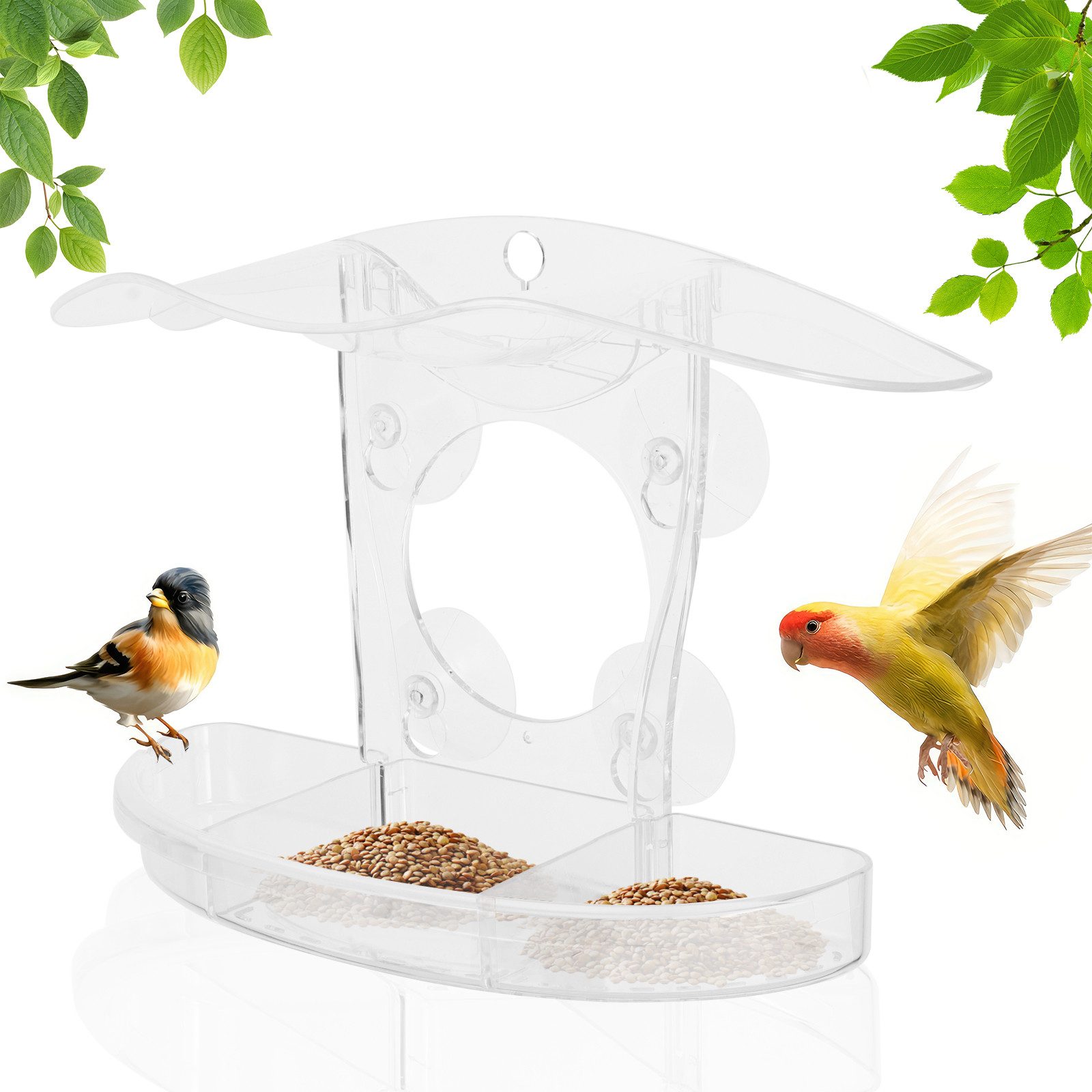 Vogelhaus Vogelfutterhaus,Transparent Futterstation Vögel mit Lebensmittelschale