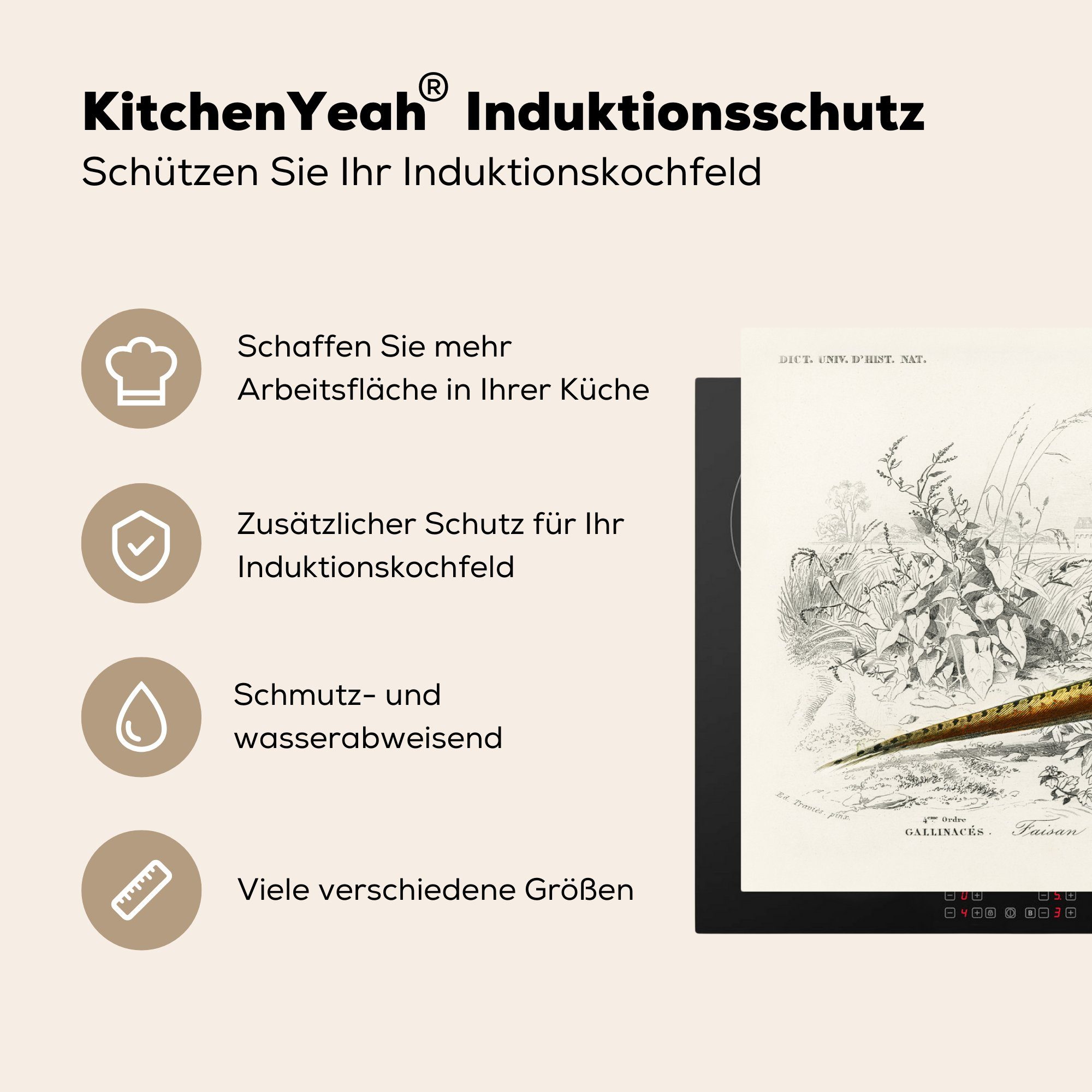 Vinyl, - Herdblende-/Abdeckplatte Induktionskochfeld (1 Ceranfeldabdeckung für - 81x52 küche, Fasan tlg), cm, Schutz die Jahrgang, Vogel MuchoWow