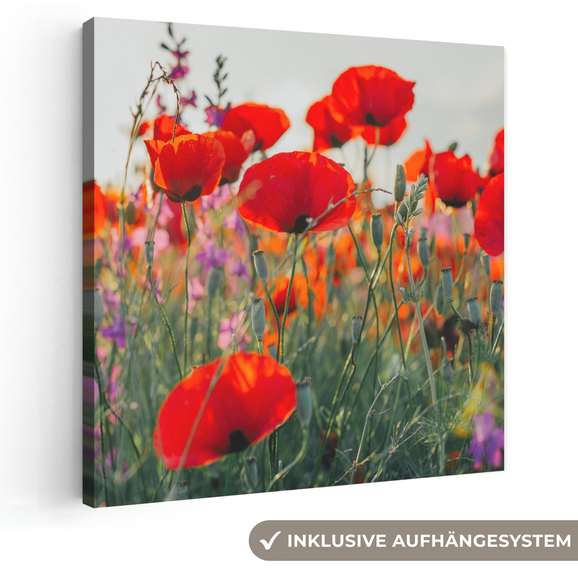 OneMillionCanvasses® Leinwandbild Mohn - Blumen - Rot - Lila - Wiese, Fotodruck (1 St), Wandbild, Deko Schlafzimmer Wohnzimmer Flur 20x20 cm