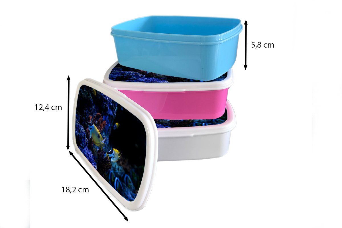 Kunststoff in einem rosa Brotdose Snackbox, Aquarium Erwachsene, (2-tlg), Kunststoff, Singapur., Mädchen, Aquarienfische MuchoWow für Brotbox Lunchbox Kinder, in