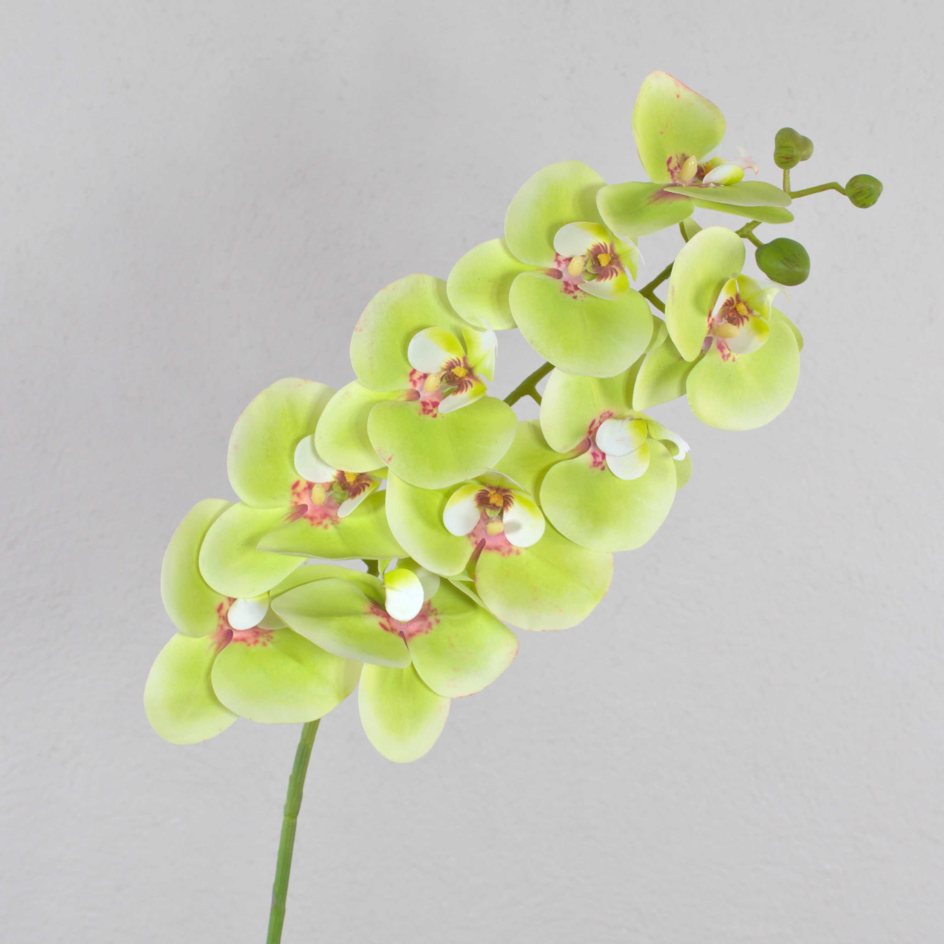 Kunstorchidee Phalaenopsis Zweig Ophelia, real Touch, 9 Blüten, grün-pink, 100cm Orchidee (Orchidee phalaenopsis), artplants, Höhe 100.0 cm