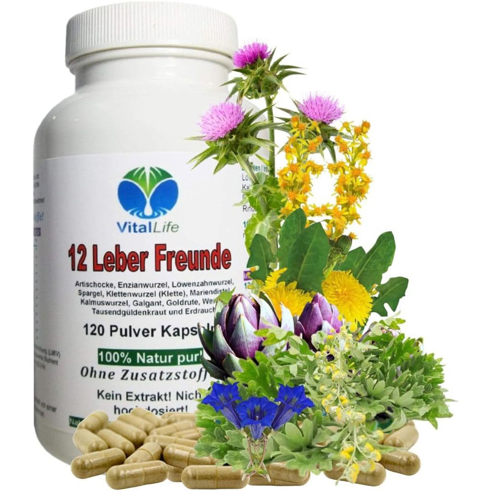 VitalLife 12 Leber Freunde - Leber & Galle Vital Kräuter & Bitterstoffe Kapseln, 1 er Dose à 120 St., 54 g, Art. 26312