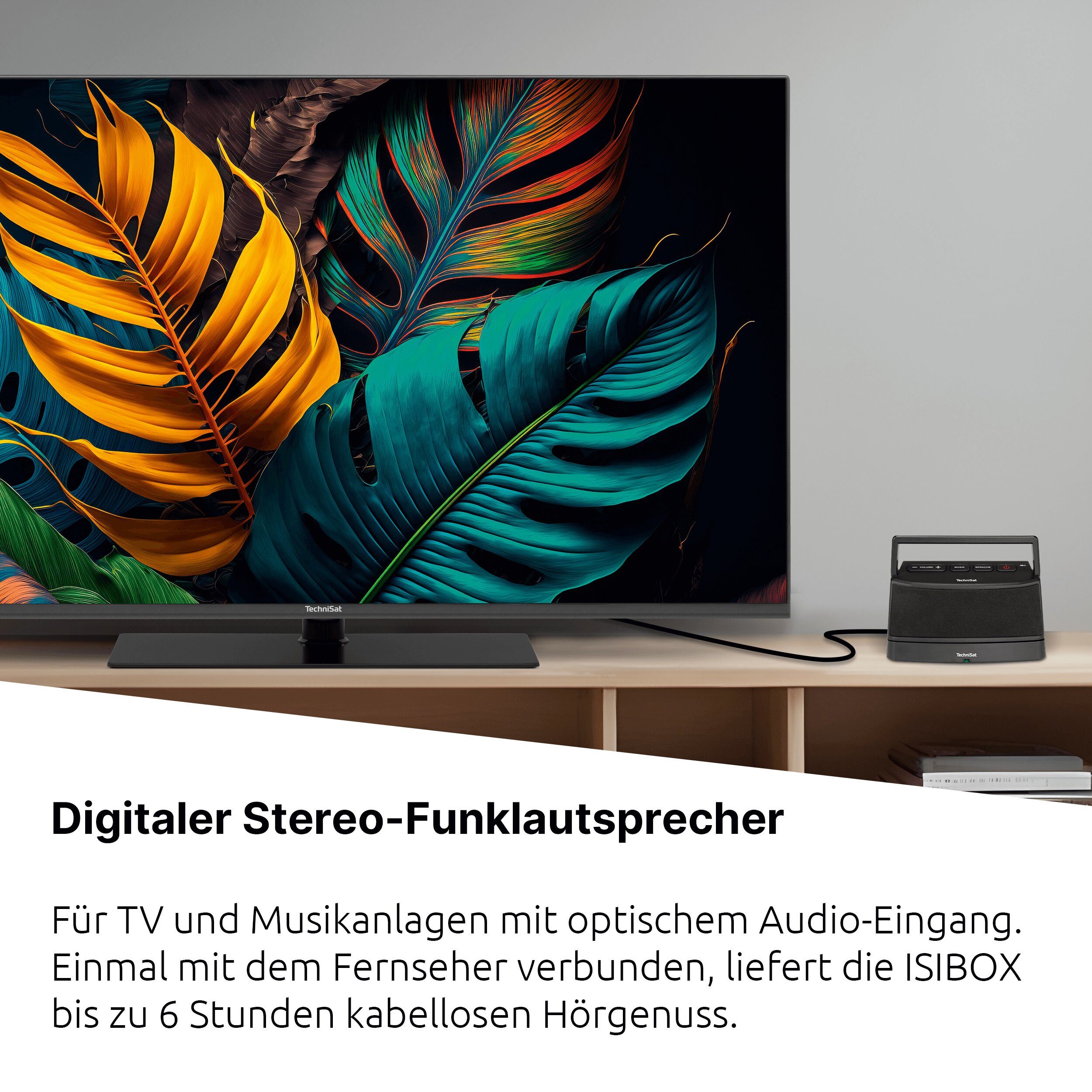 TechniSat ISIBOX 1 Lautsprecher 2.0 (4 W, inklusive Dockingstation für TV und HiFi, bis zu 6 Stunden Akkubetrieb)
