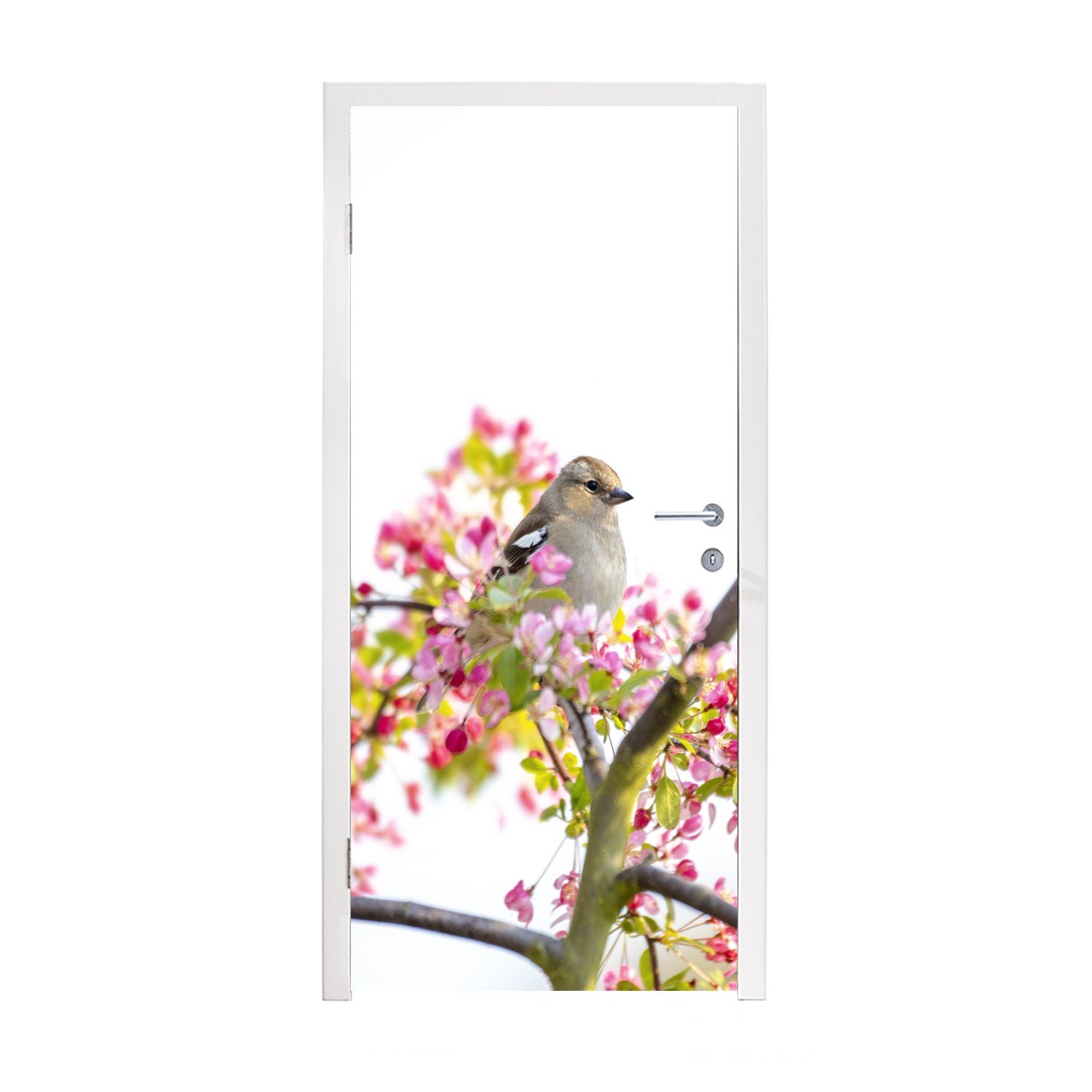 Matt, (1 bedruckt, Türaufkleber, rosa St), Blumen, Türtapete Vogel zwischen für Fototapete 75x205 cm Tür, MuchoWow