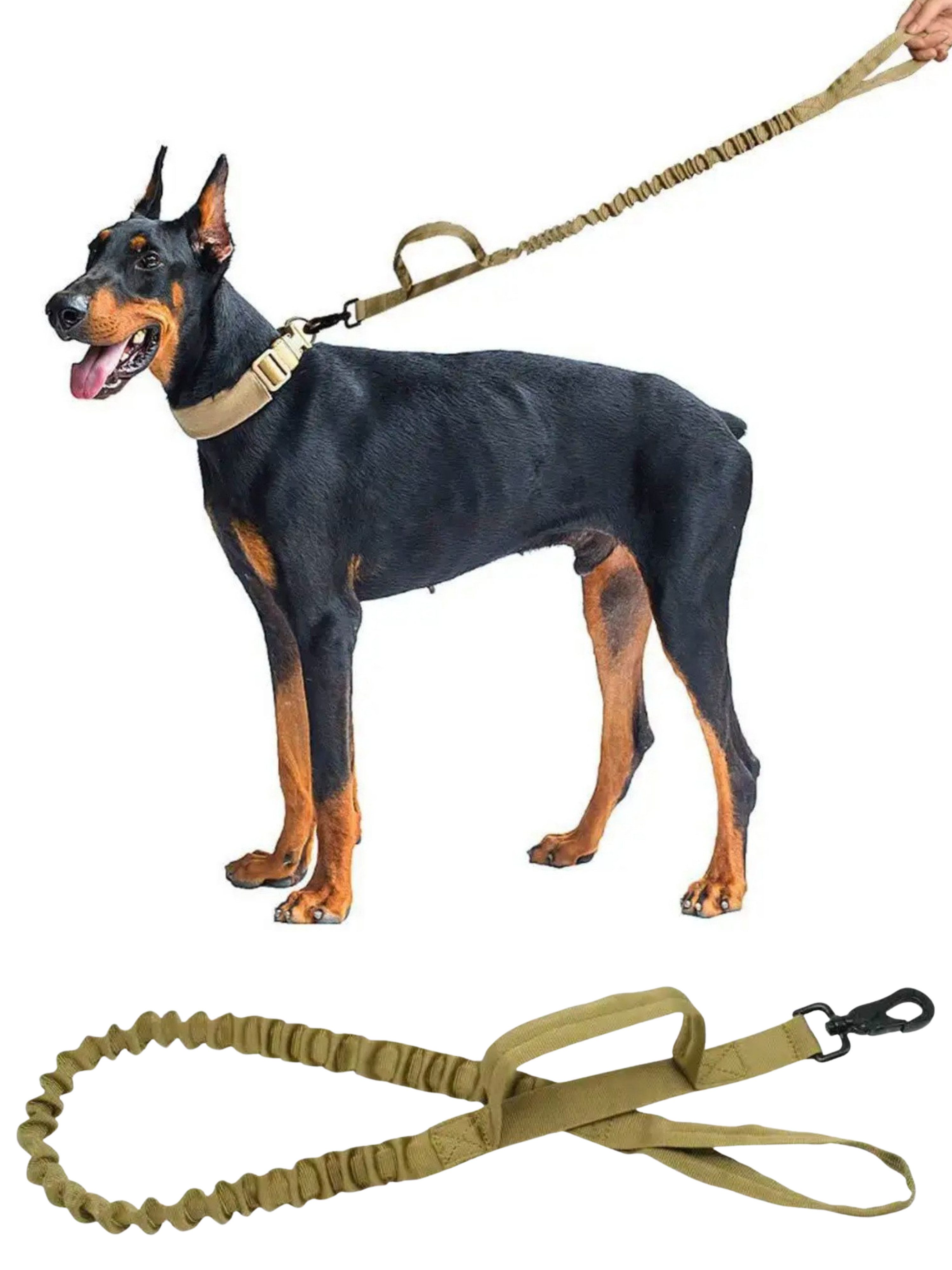 lous Hundeleine Elastisch & Hochwertig -, Nylon (Anti-Stress Hundeleine, Stretch-Hundeleine für mittelgroße und große Hunde), Длина: 97-150 cm - absorbiert plötzliche Züge und Stöße