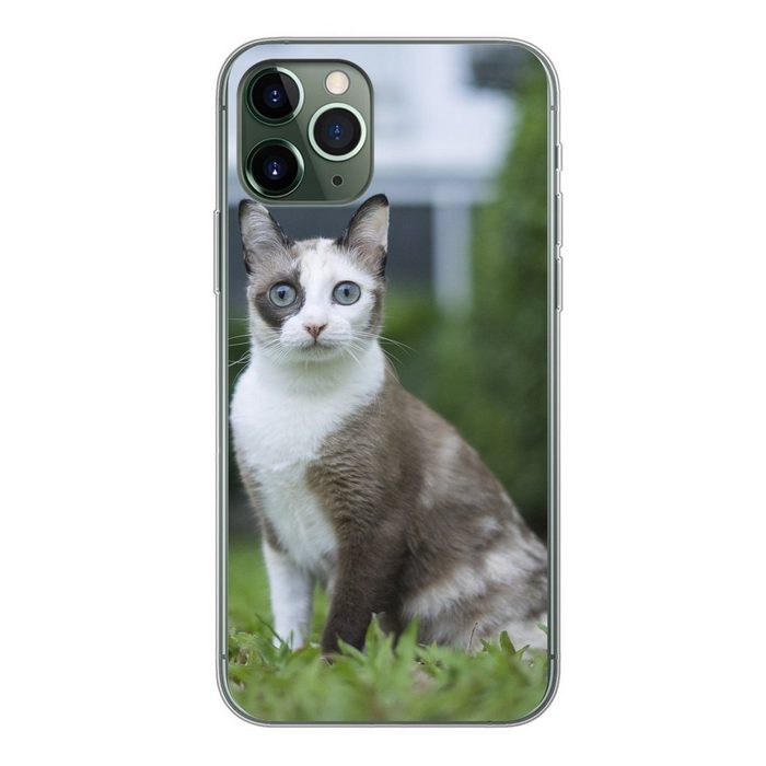 MuchoWow Handyhülle Katze - Siamese - Gras - Mädchen - Kinder - Jungen - Kind Handyhülle Apple iPhone 11 Pro Smartphone-Bumper Print Handy