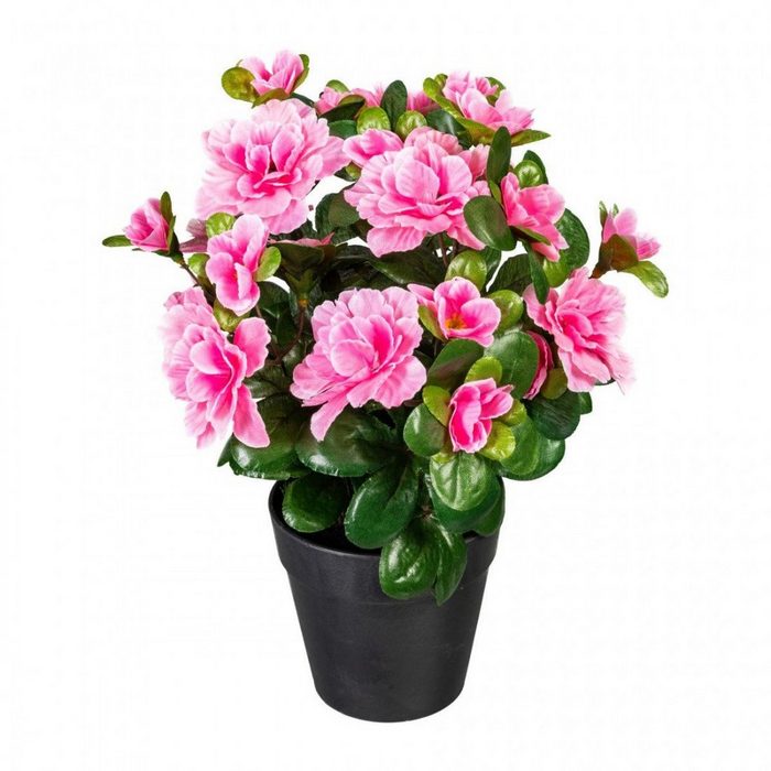 Kunstpflanze Kunstpflanze 792 PassionMade Künstliche Azalee Rosa im Topf