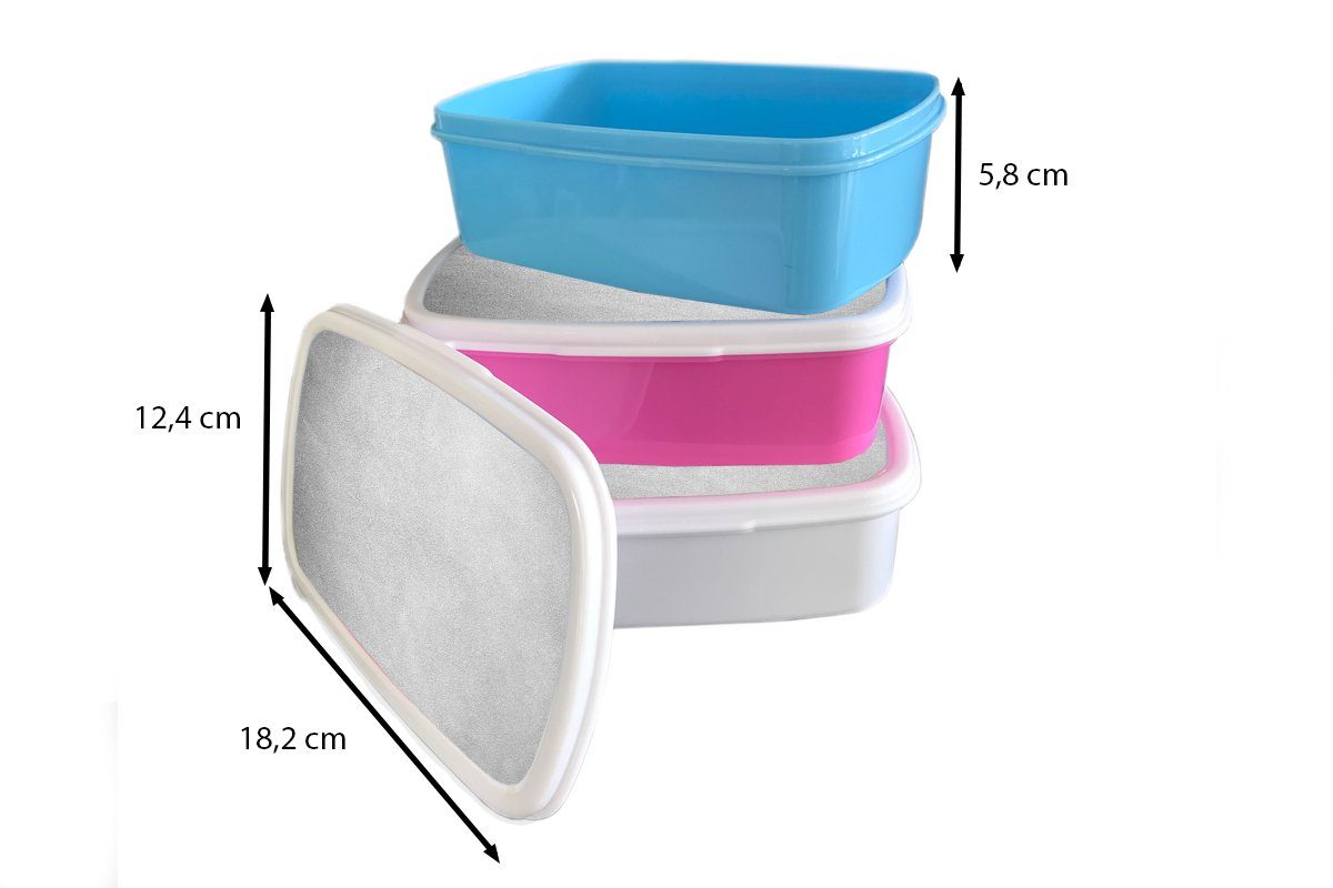 MuchoWow Lunchbox Leder - Strukturiert Brotbox (2-tlg), Brotdose Kunststoff Erwachsene, Lederoptik rosa Kinder, für Snackbox, Mädchen, - Grau, - Kunststoff