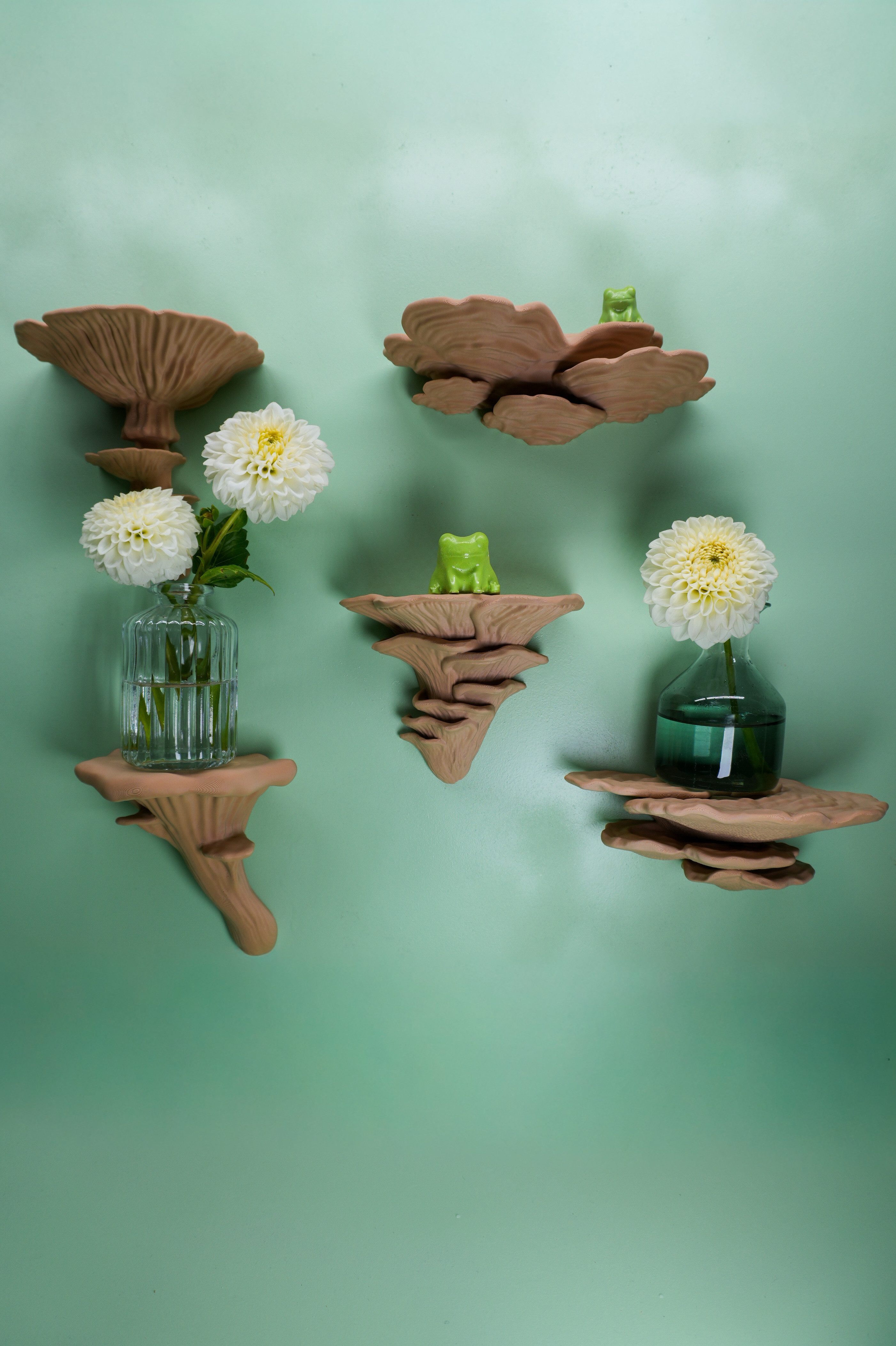 Roomberry Deko-Wandregal Pilz Wandregal Set 5-teilig, Pilzregal Deko Naturdesign, Schweberegal, Geschenk-Set, Made in Germany