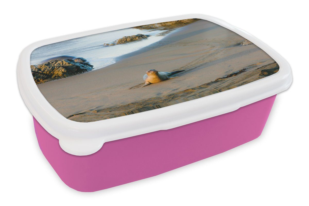 Mädchen, Brotdose Robbe Kunststoff Tiere für Snackbox, Lunchbox (2-tlg), rosa Kunststoff, Strand, Erwachsene, - Kinder, Brotbox MuchoWow -