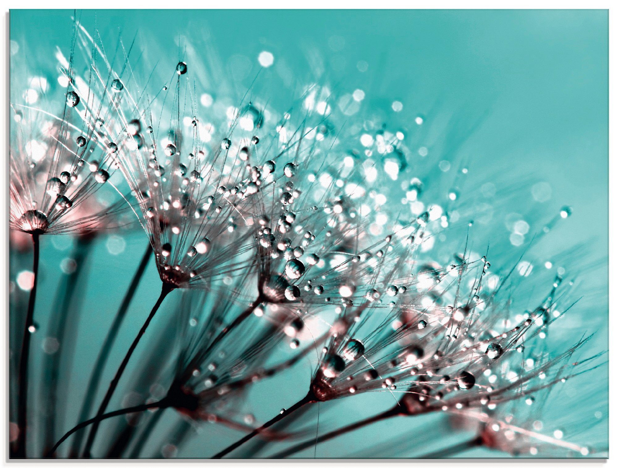 Artland Glasbild Glitzernde Pusteblume I, Blumen (1 St), in verschiedenen Größen