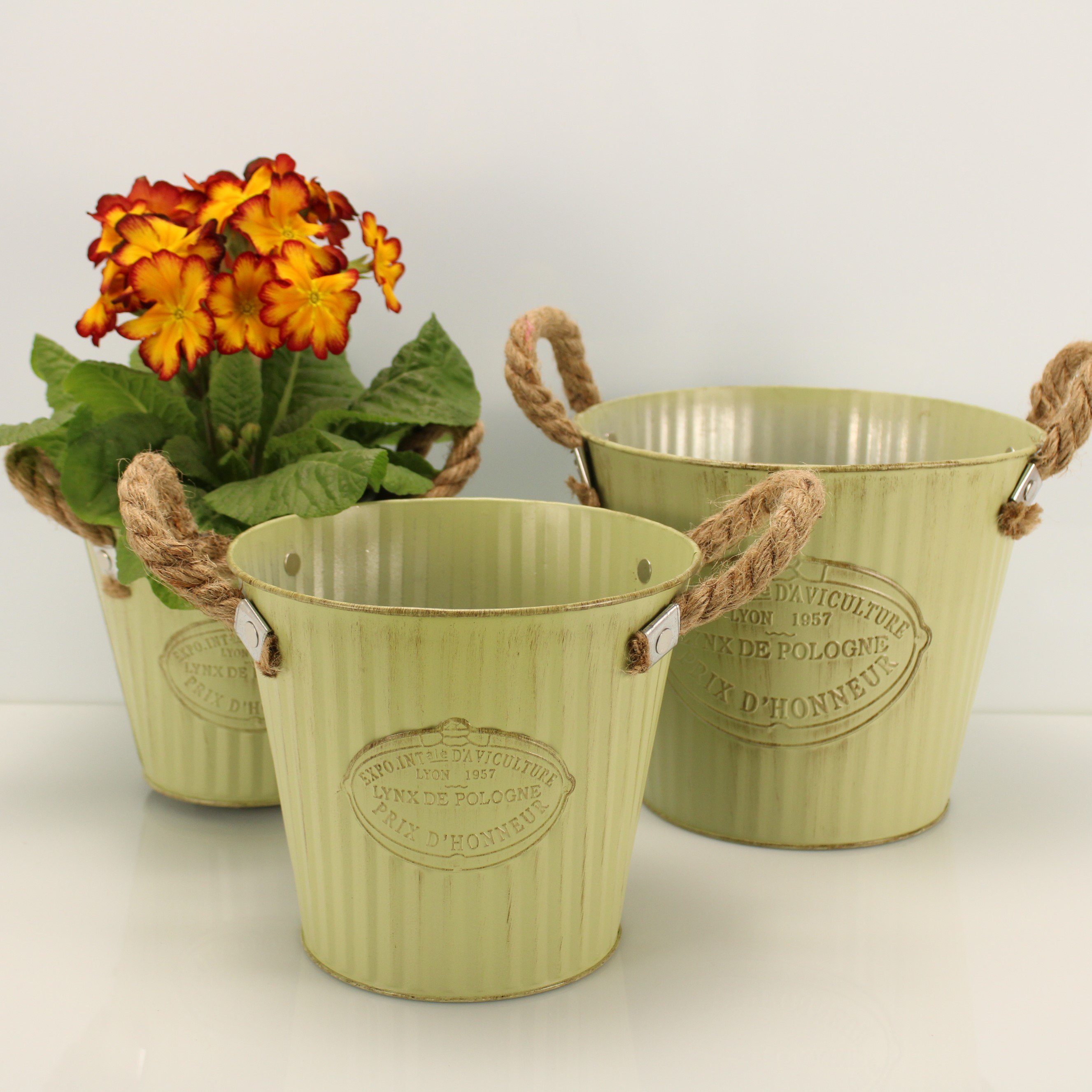 Online-Fuchs Blumentopf 3 runde Blumentöpfe aus günstig online kaufen