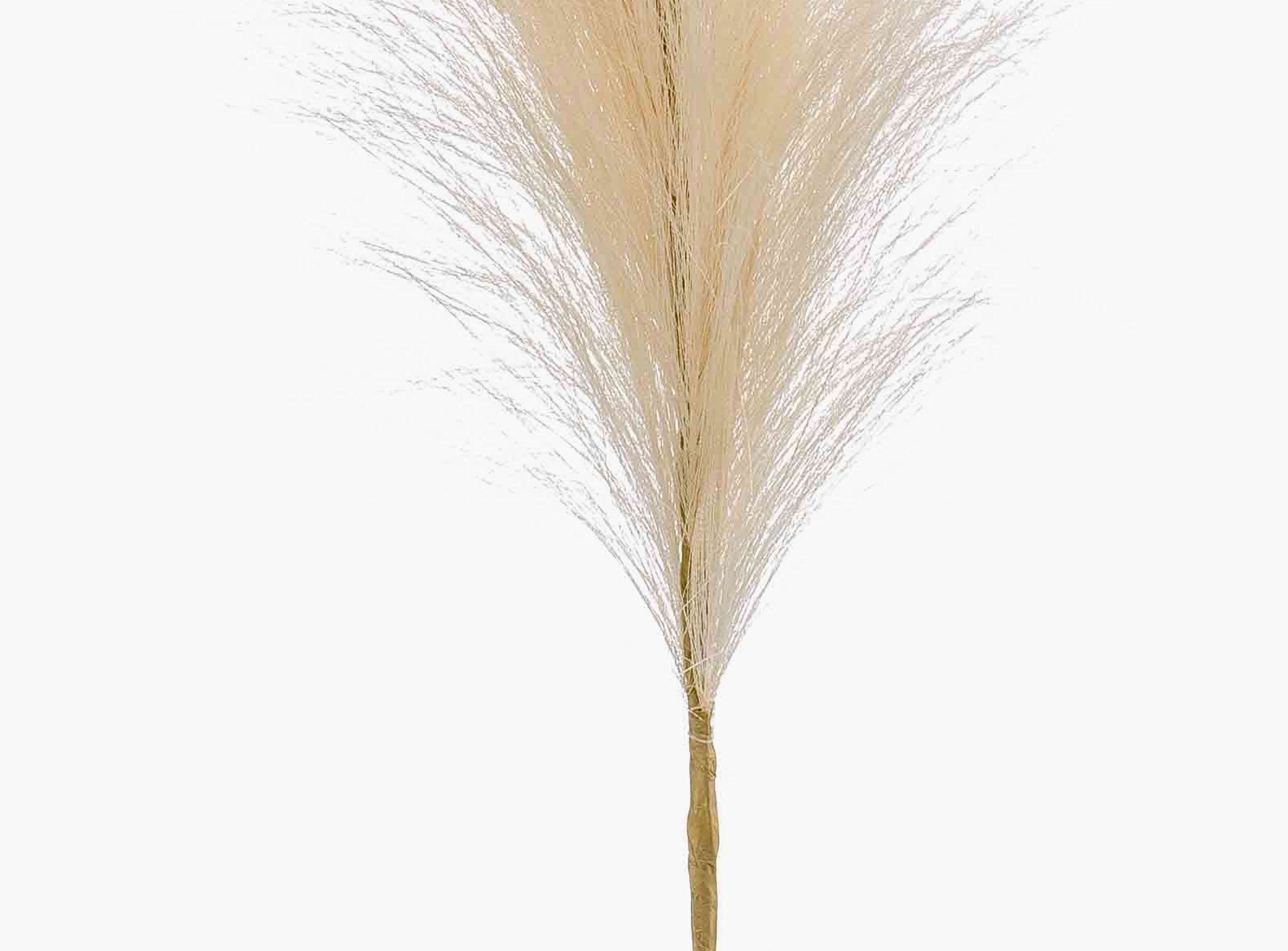 Kunstzweig Künstliche Pampasgras Rispe AMATSIA, Creme, 115cm Pampasgras, artplants, Höhe 115.0 cm – Bild 4 von 4
