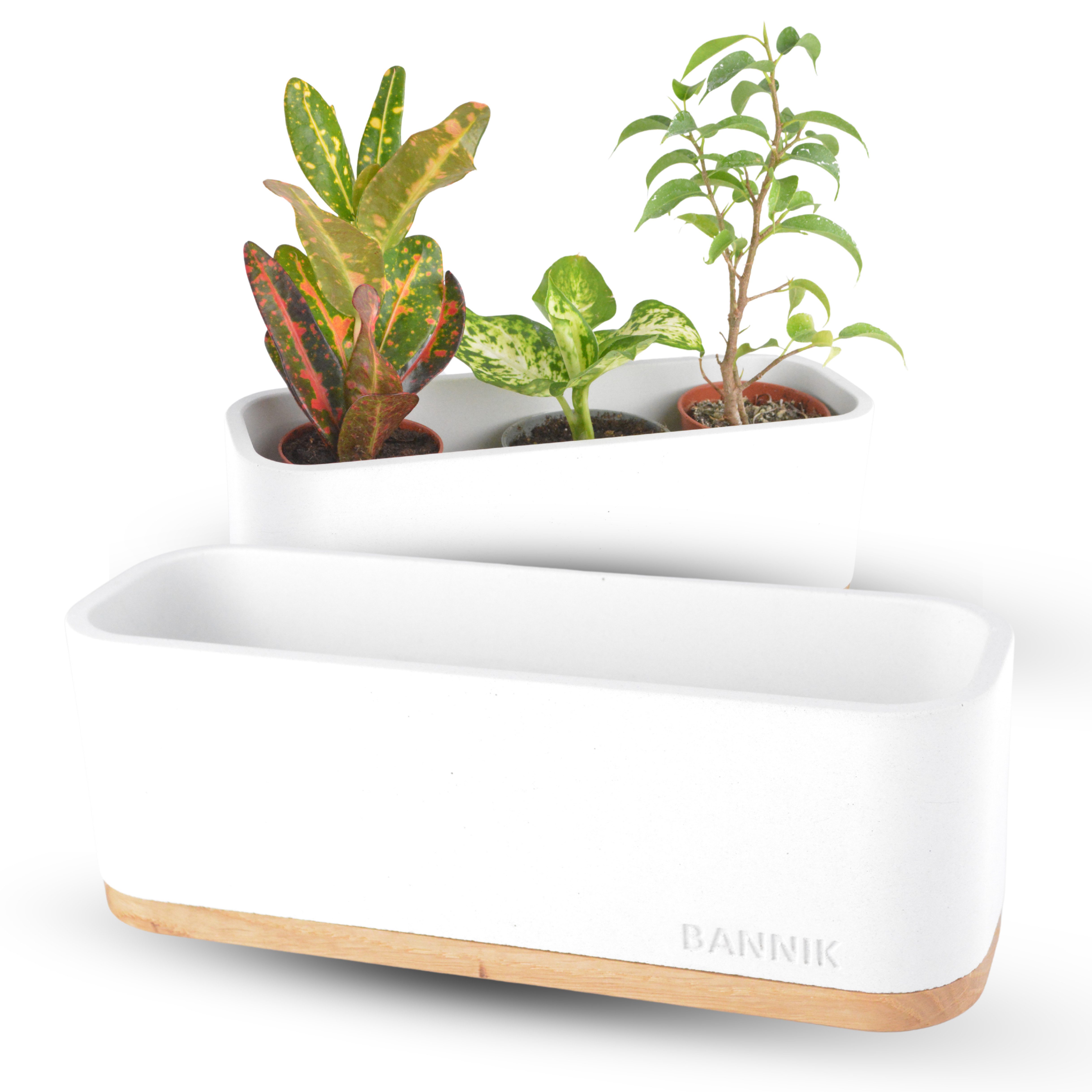 Bannik Blumentopf aus Beton und Holz - handgefertigt - Pflanztopf modern (1 günstig online kaufen