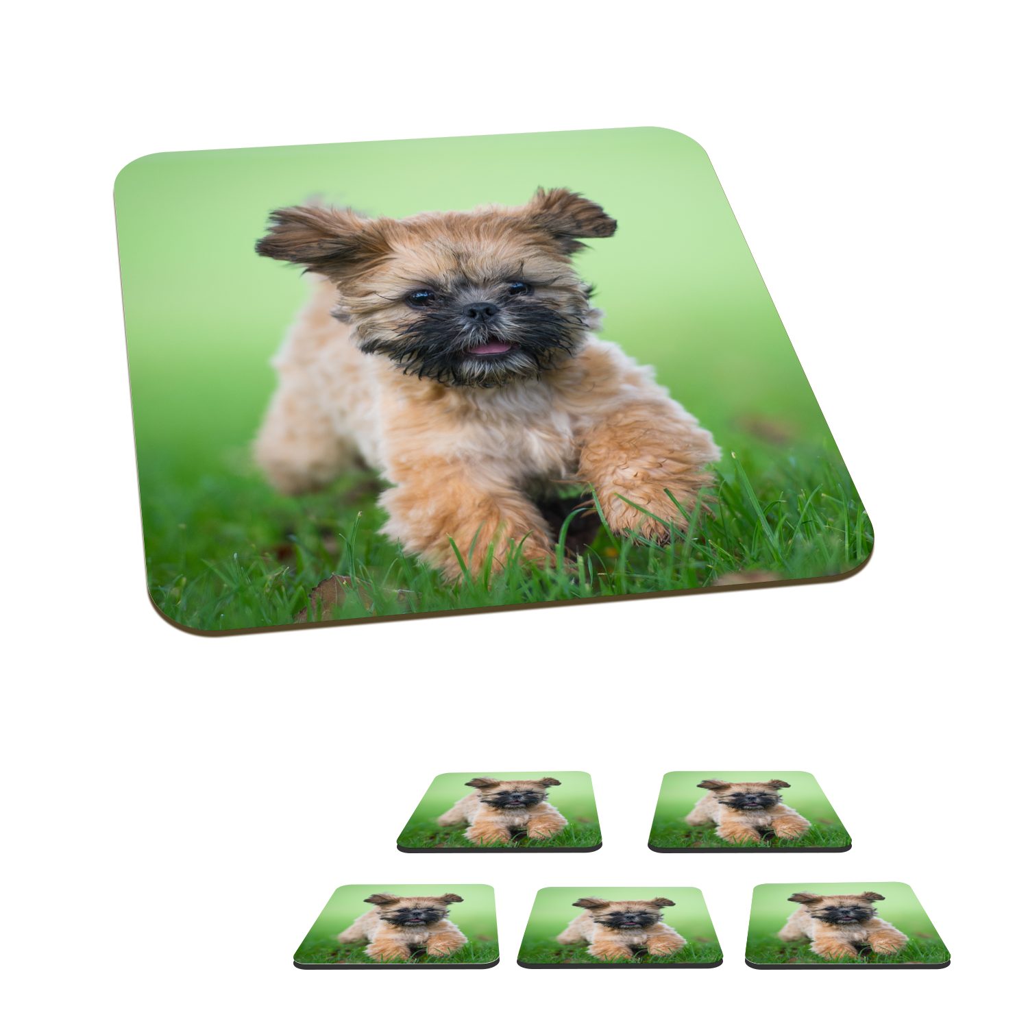MuchoWow Glasuntersetzer Ein niedlicher Shih Tzu Hund, der durch das Gras läuft, Zubehör für Gläser, 6-tlg., Glasuntersetzer, Tischuntersetzer, Korkuntersetzer, Untersetzer, Tasse