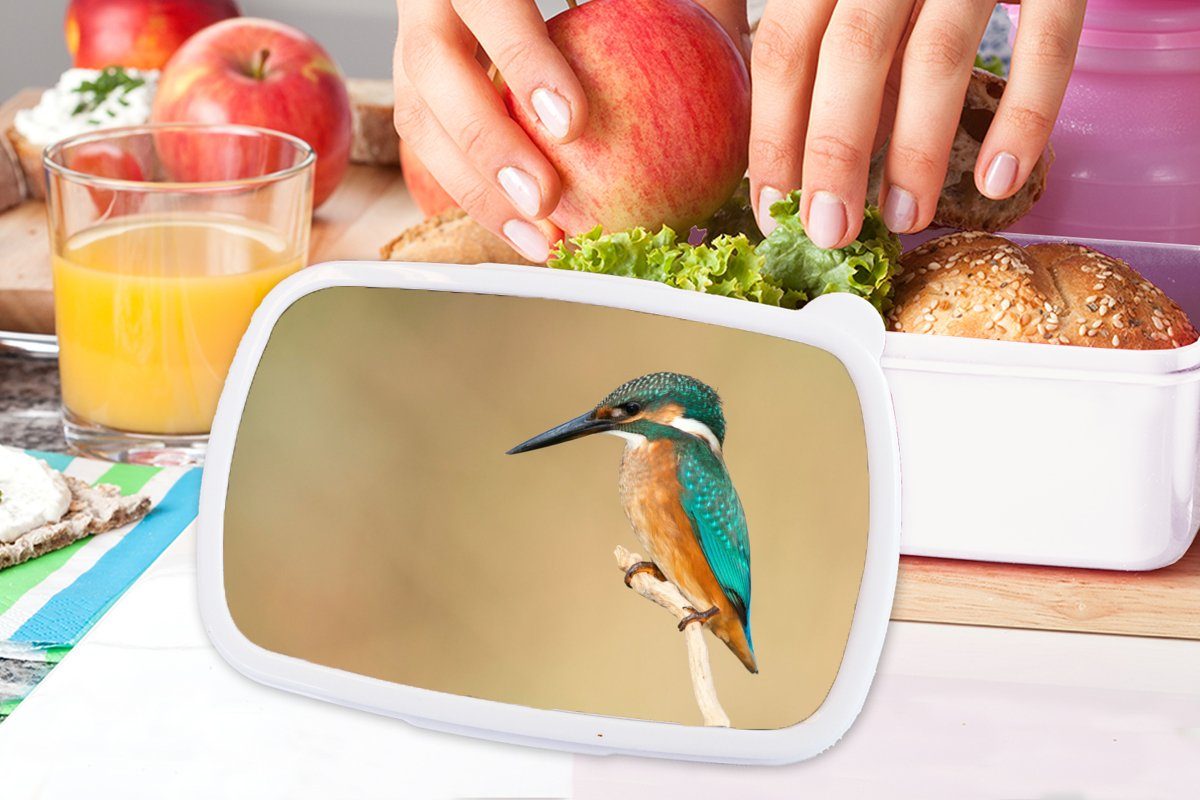 MuchoWow Lunchbox Kunststoff, Brotdose, Erwachsene, weiß - Tiere Brotbox und und Jungs Eisvogel (2-tlg), - für Vogel, für Kinder Mädchen