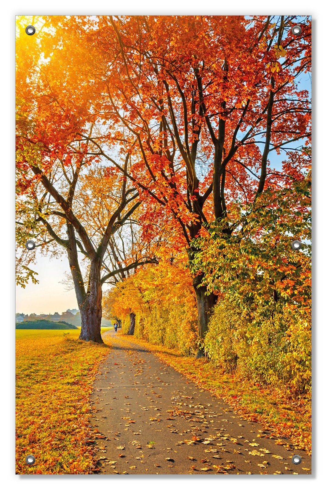 Sonnenschutz wiederablösbar Laub, Wallario, mit blickdicht, buntem und wiederverwendbar Waldweg Herbstlicher mit Saugnäpfen,
