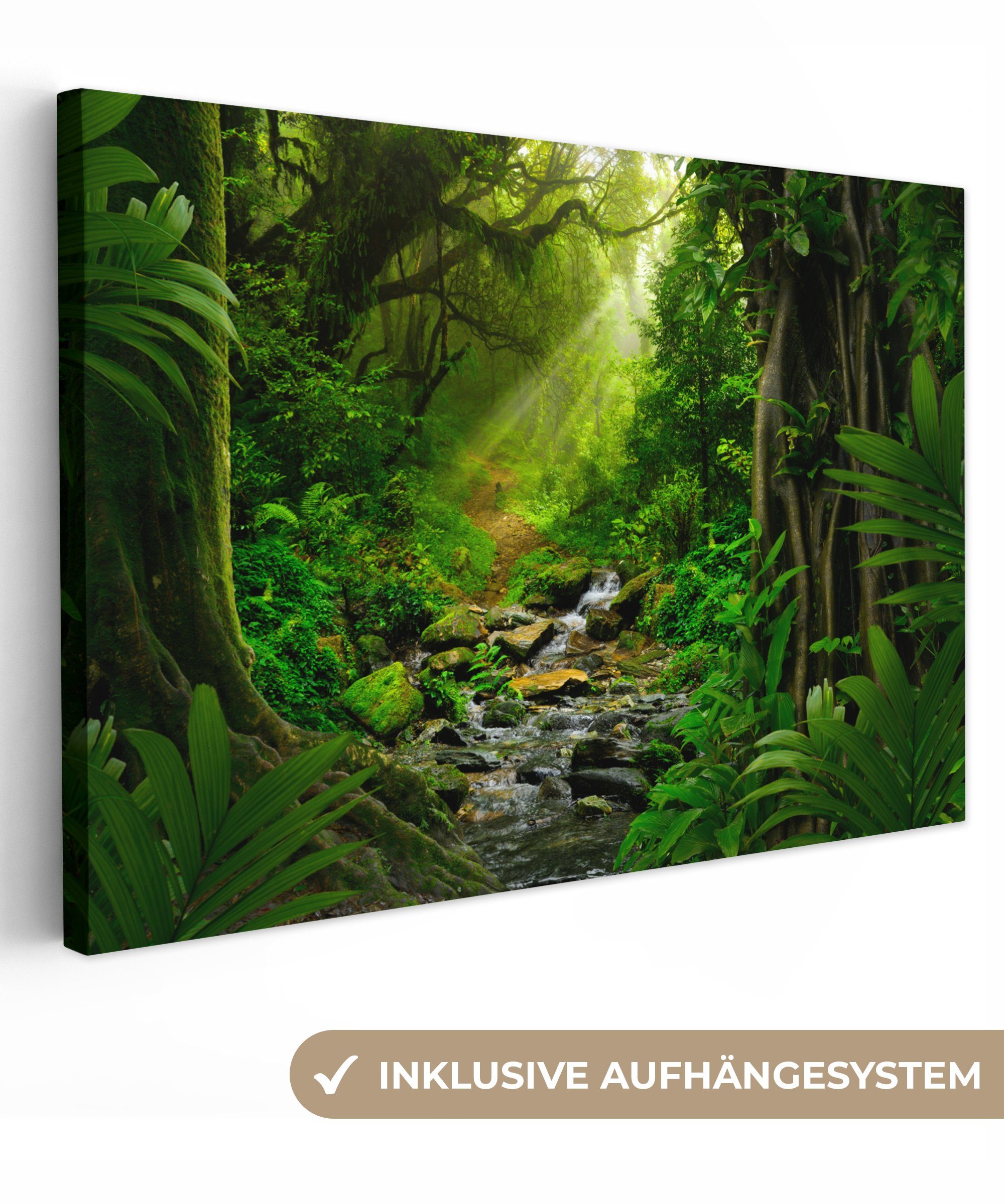 OneMillionCanvasses® Leinwandbild Dschungel - Wasser - Laub - Sonne - Natur günstig online kaufen