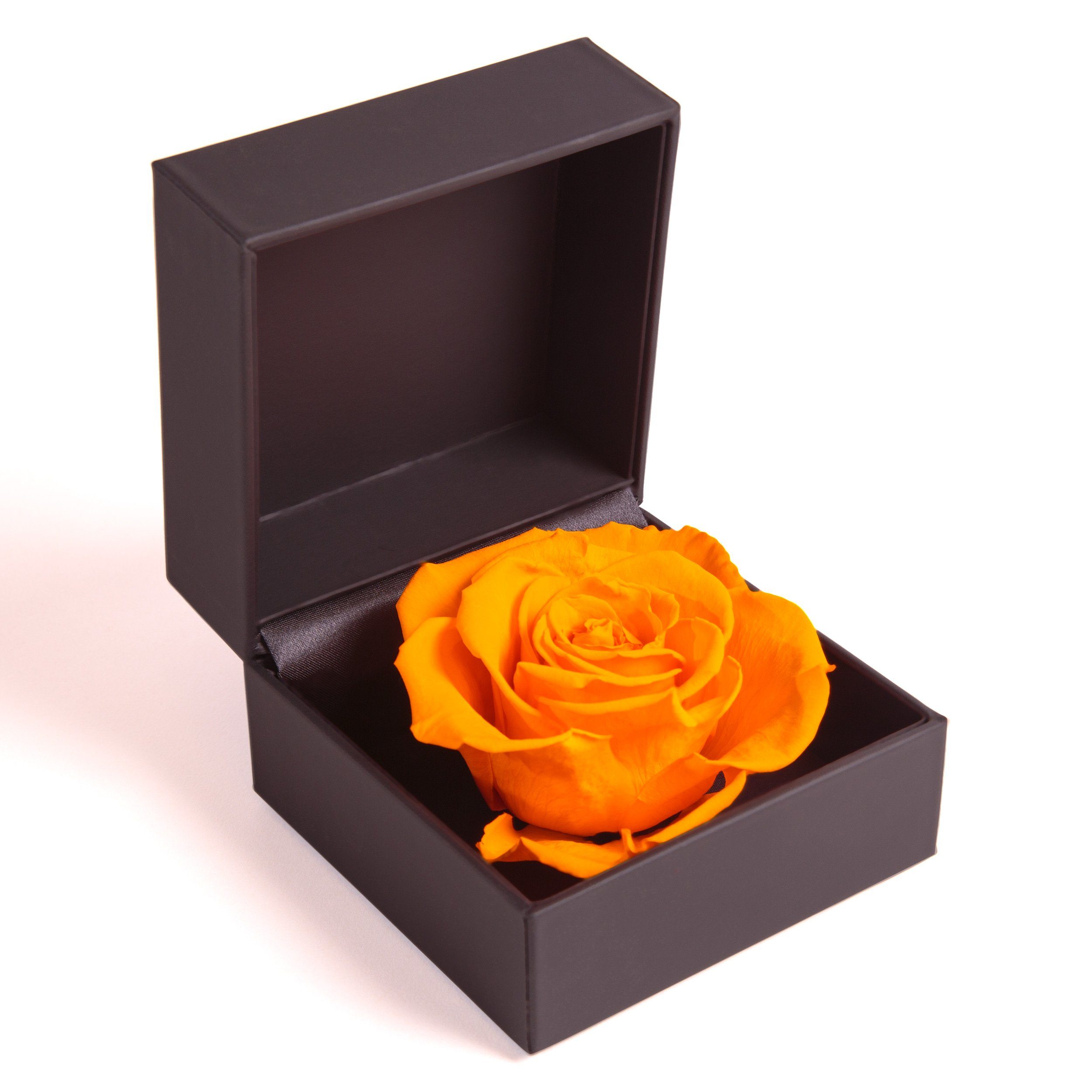 Kunstblume Rosenbox Ringbox Groß Infinity Rose konserviert in Box Ringdose Rose, ROSEMARIE SCHULZ Heidelberg, Höhe 9 cm, Langlebige Rose Gelb