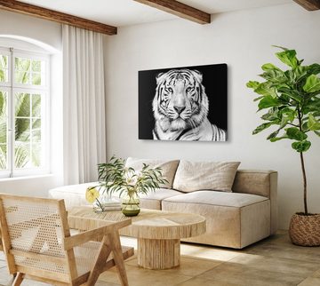 Sinus Art Leinwandbild 120x80cm Wandbild auf Leinwand Weißer Tiger Porträt Schwarz Weiß Tierf, (1 St)