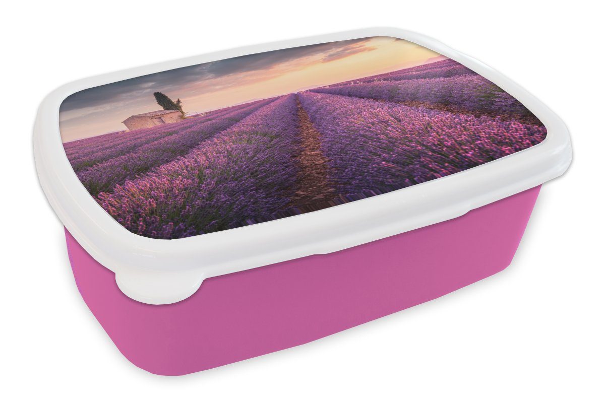 MuchoWow Lunchbox Lavendel - Blumen - Lila - Feld, Kunststoff, (2-tlg), Brotbox für Erwachsene, Brotdose Kinder, Snackbox, Mädchen, Kunststoff rosa