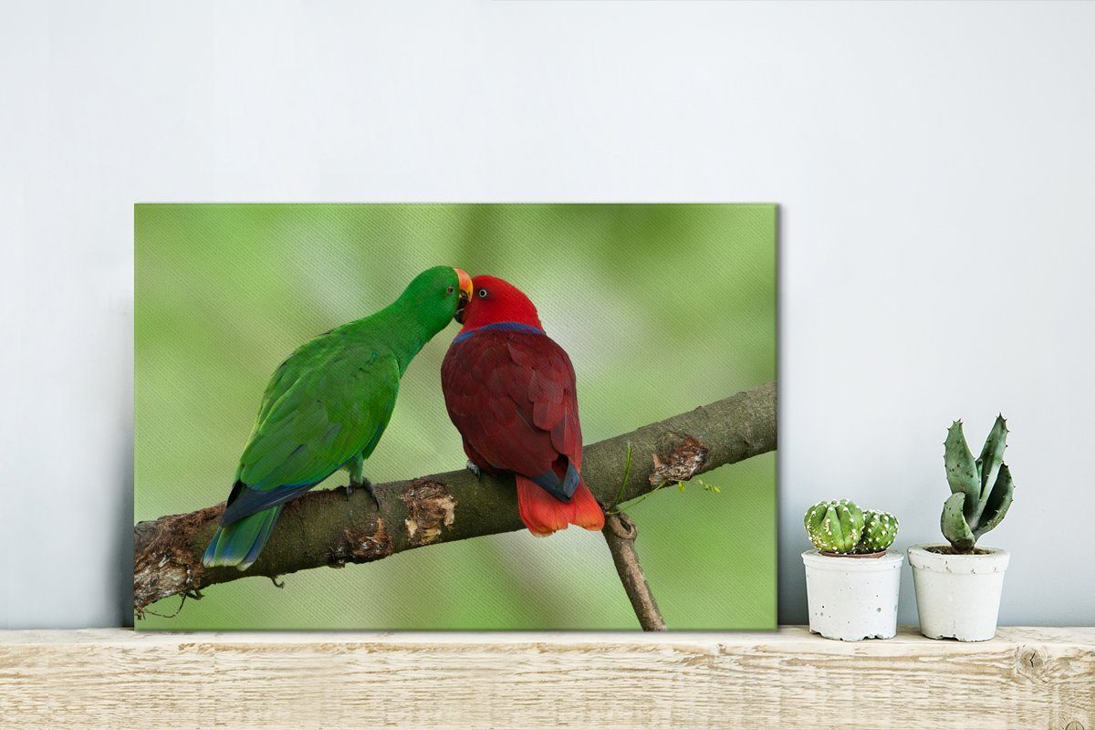 einem kuscheln Wanddeko, auf 30x20 Leinwandbilder, St), OneMillionCanvasses® Ast (1 Leinwandbild Papageien Zwei miteinander, Aufhängefertig, Wandbild rotbeinige cm