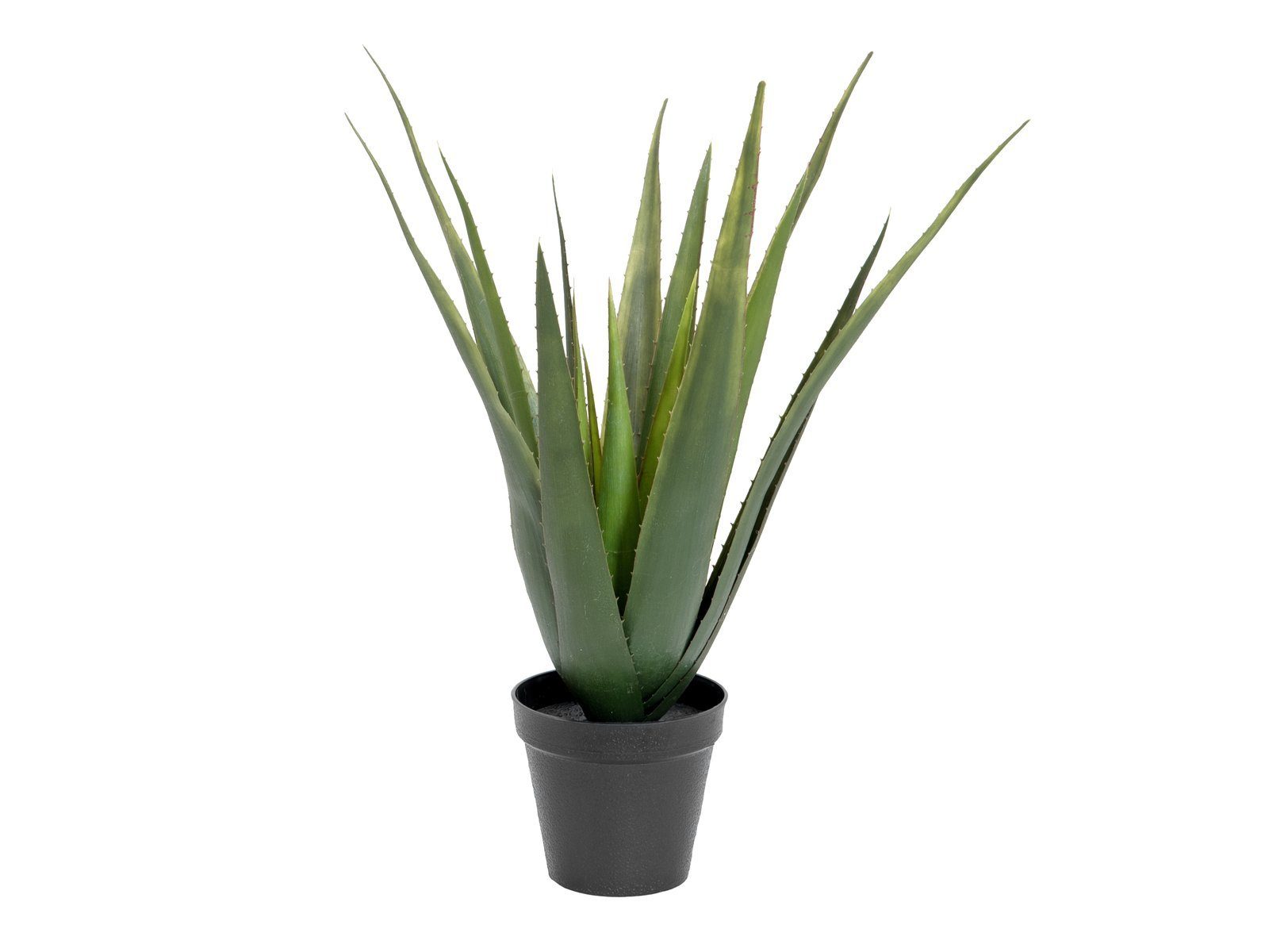 Kunstpflanze Aloe-Vera Pflanze, Kunstpflanze, 60cm