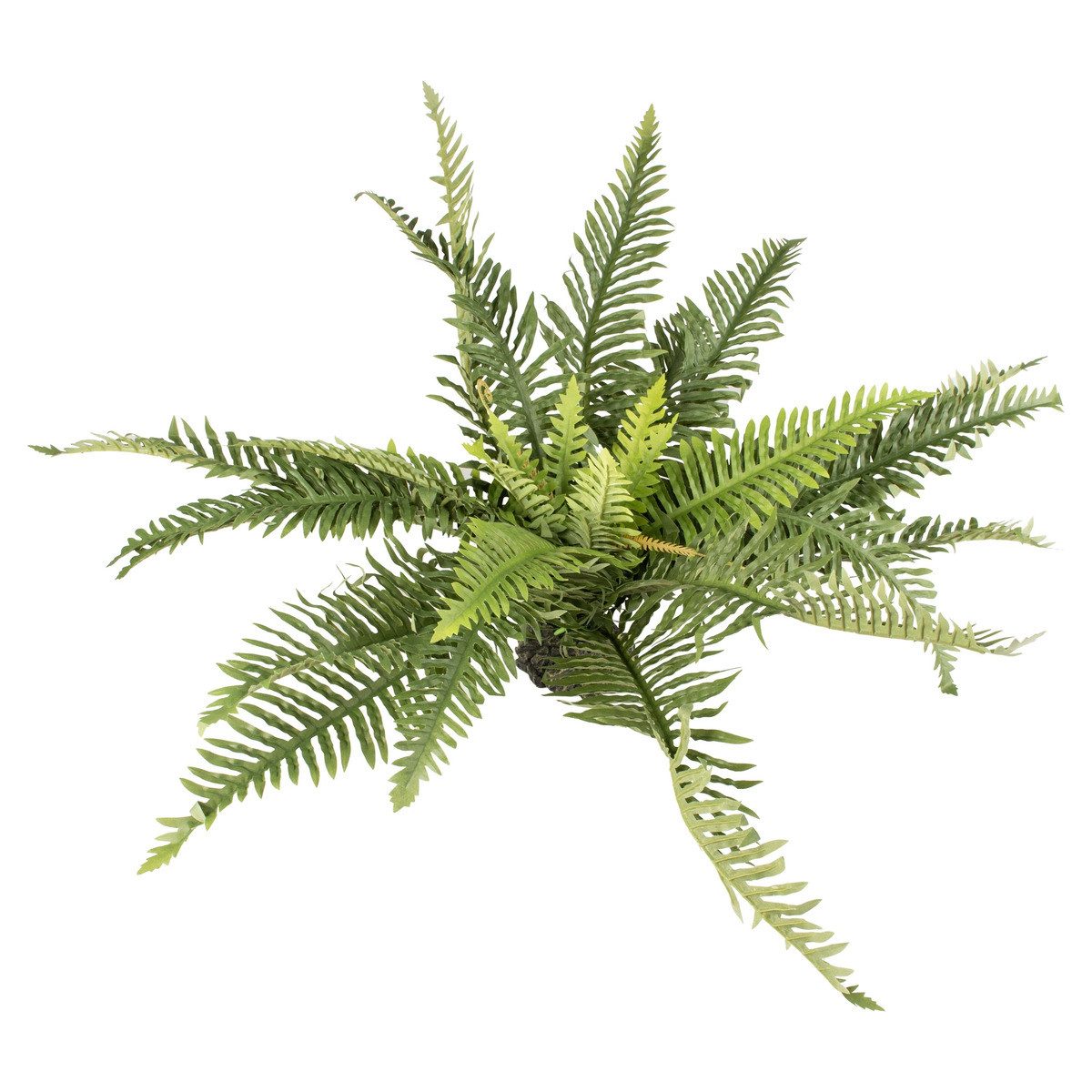 Terra Della Terrariendeko Plastikpflanze Farn grün